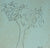 Solitary Tree <br>Mid 20th Century Ink <br><br>#49794