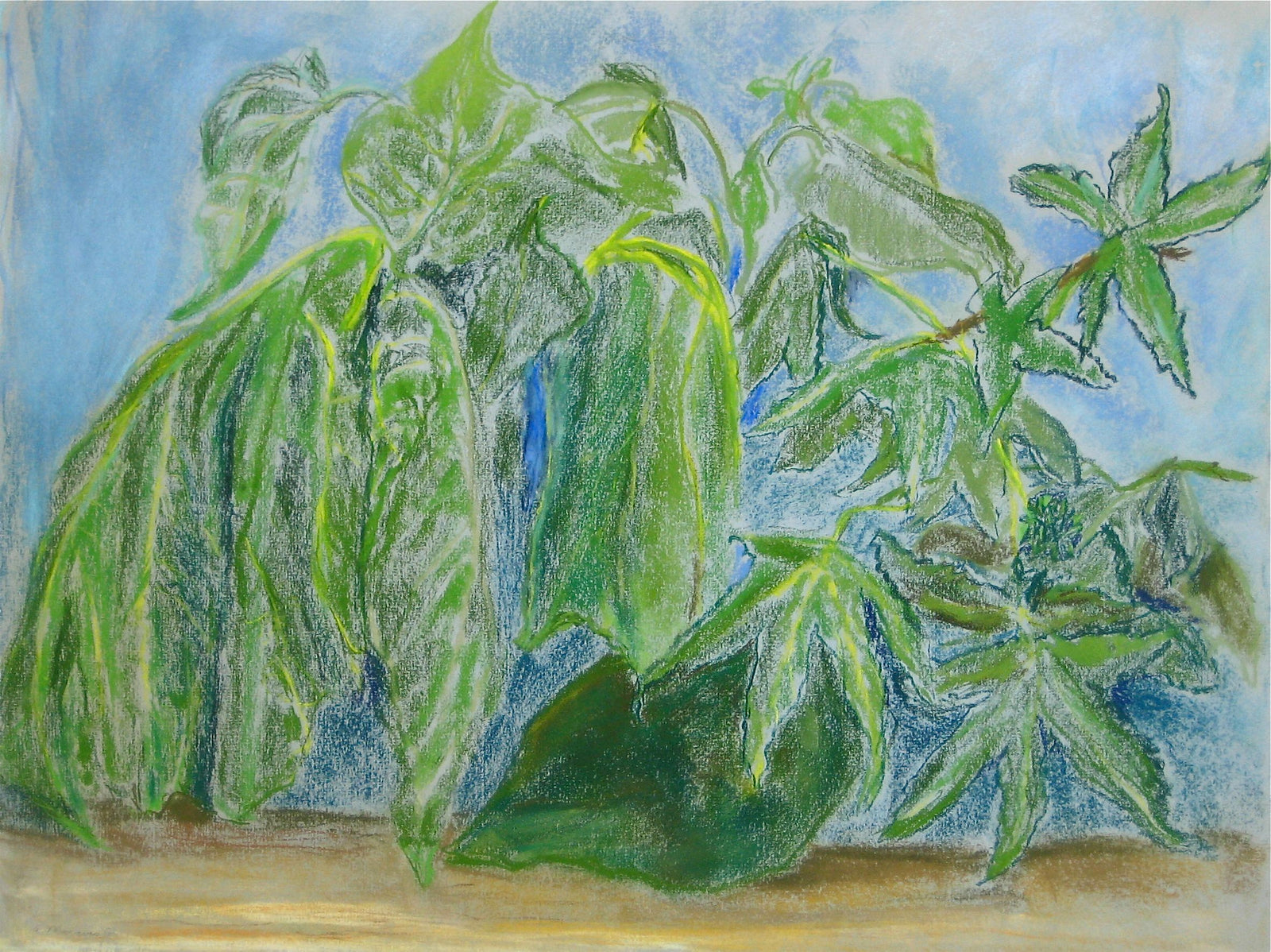 Pastel Ferns<br>1950-60s<br><br>#15106