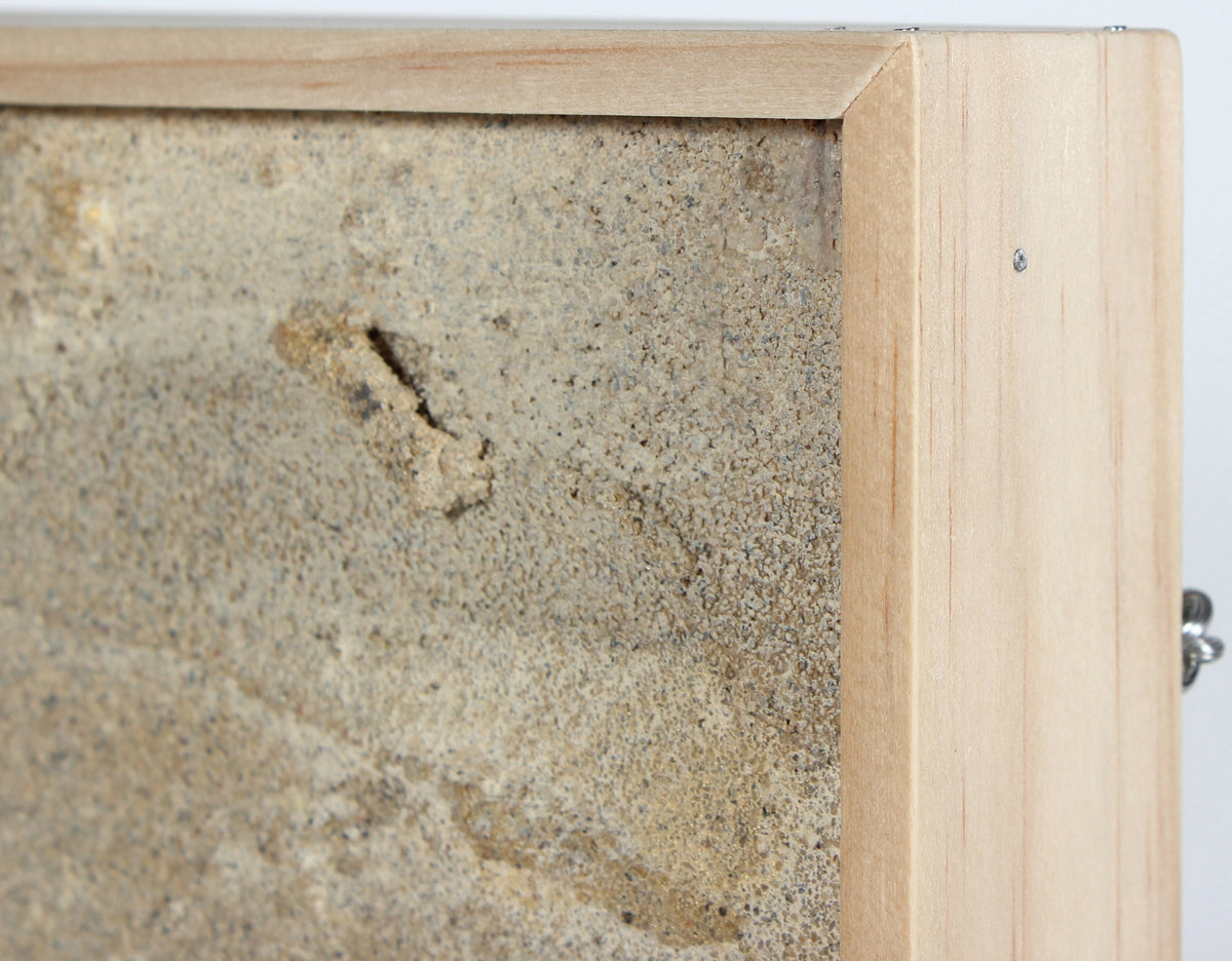 Pale Cement & Paint Mounted Sculpture<br><br>#56363