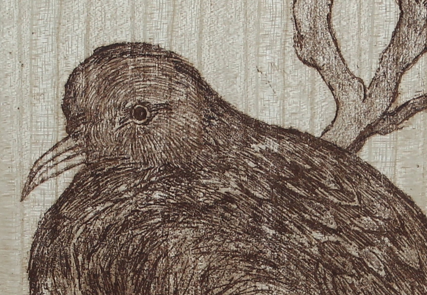 <i>Dove</i> <br>20th Century Etching <br><br>#59189