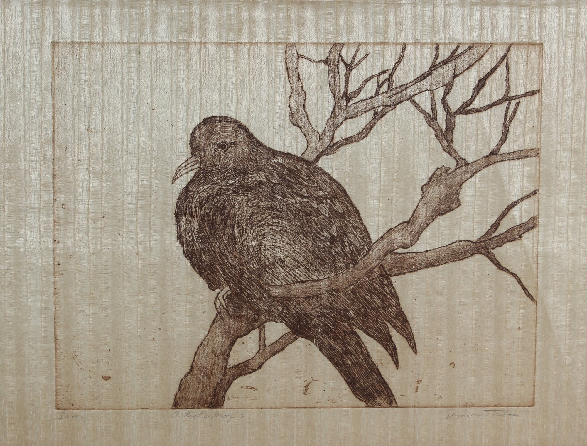 <i>Dove</i> <br>20th Century Etching <br><br>#59189