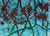 Cool Abstracted Trees <br>Mid Century Watercolor <br><br>#66732