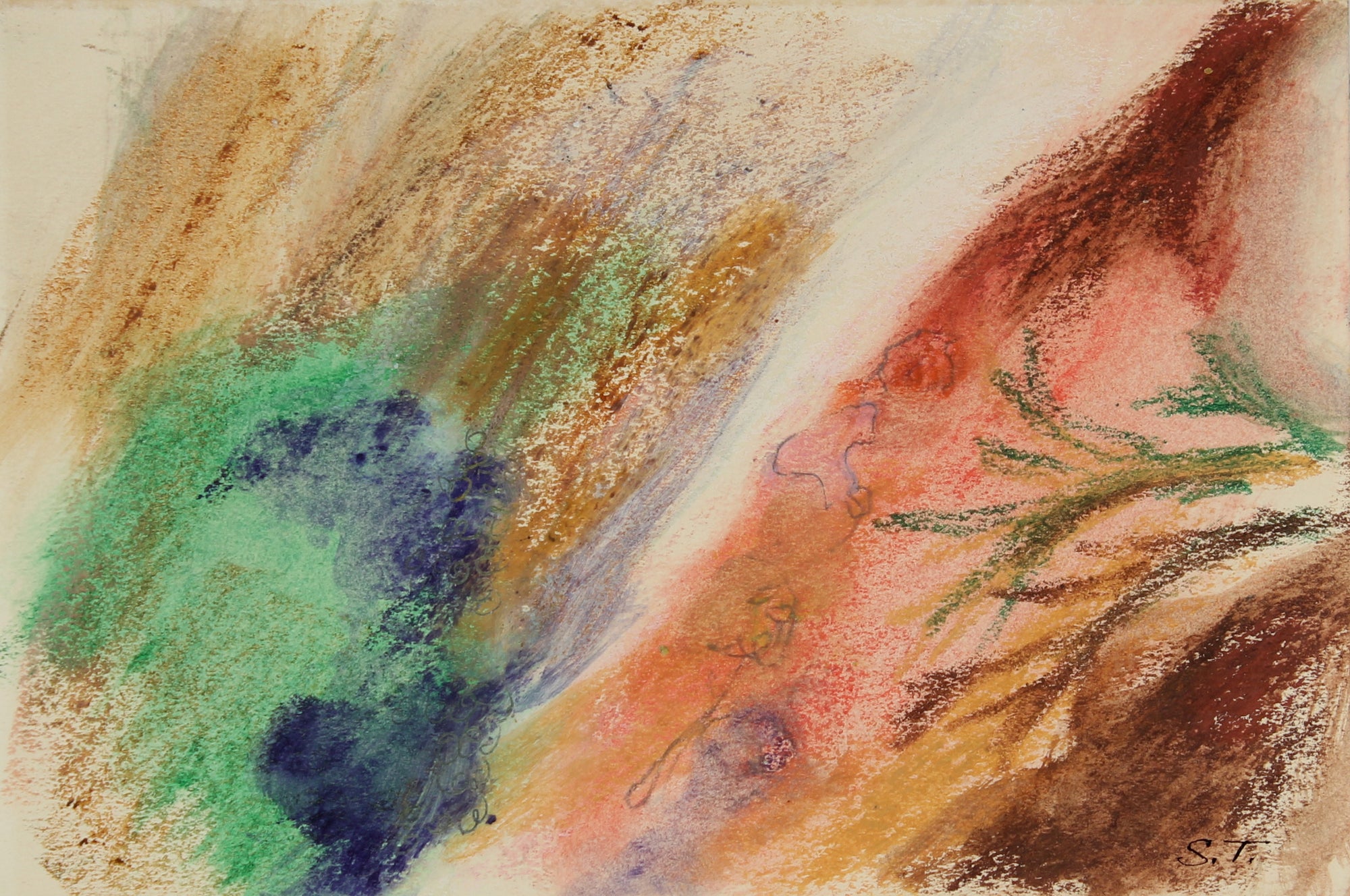 <i>Sketch for Anemone Series #1 </i> <br>Pastel on Paper<br><br>#68973