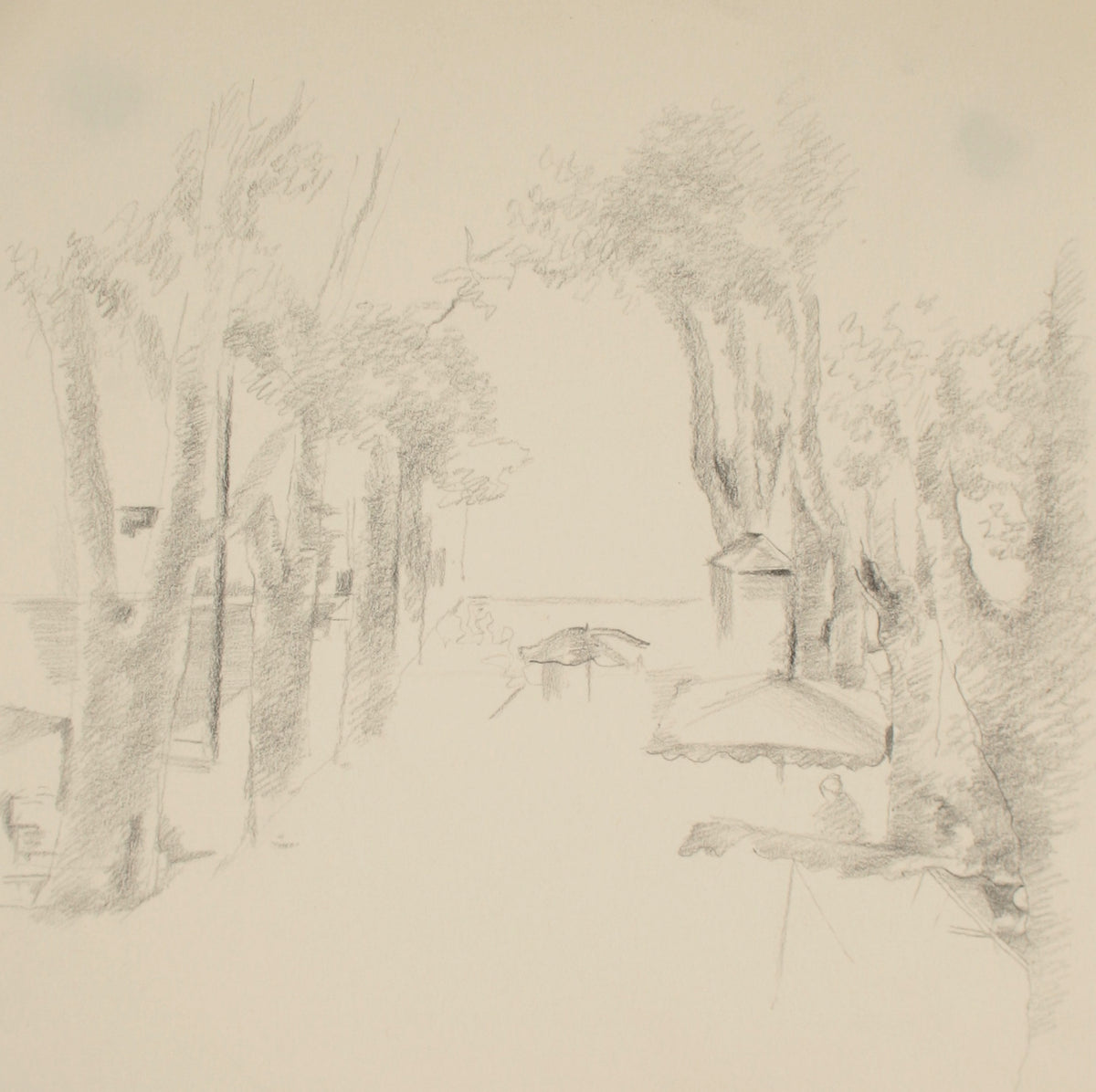 The View Beneath the Trees &lt;br&gt;Late 20th Century Graphite&lt;br&gt;&lt;br&gt;#71498