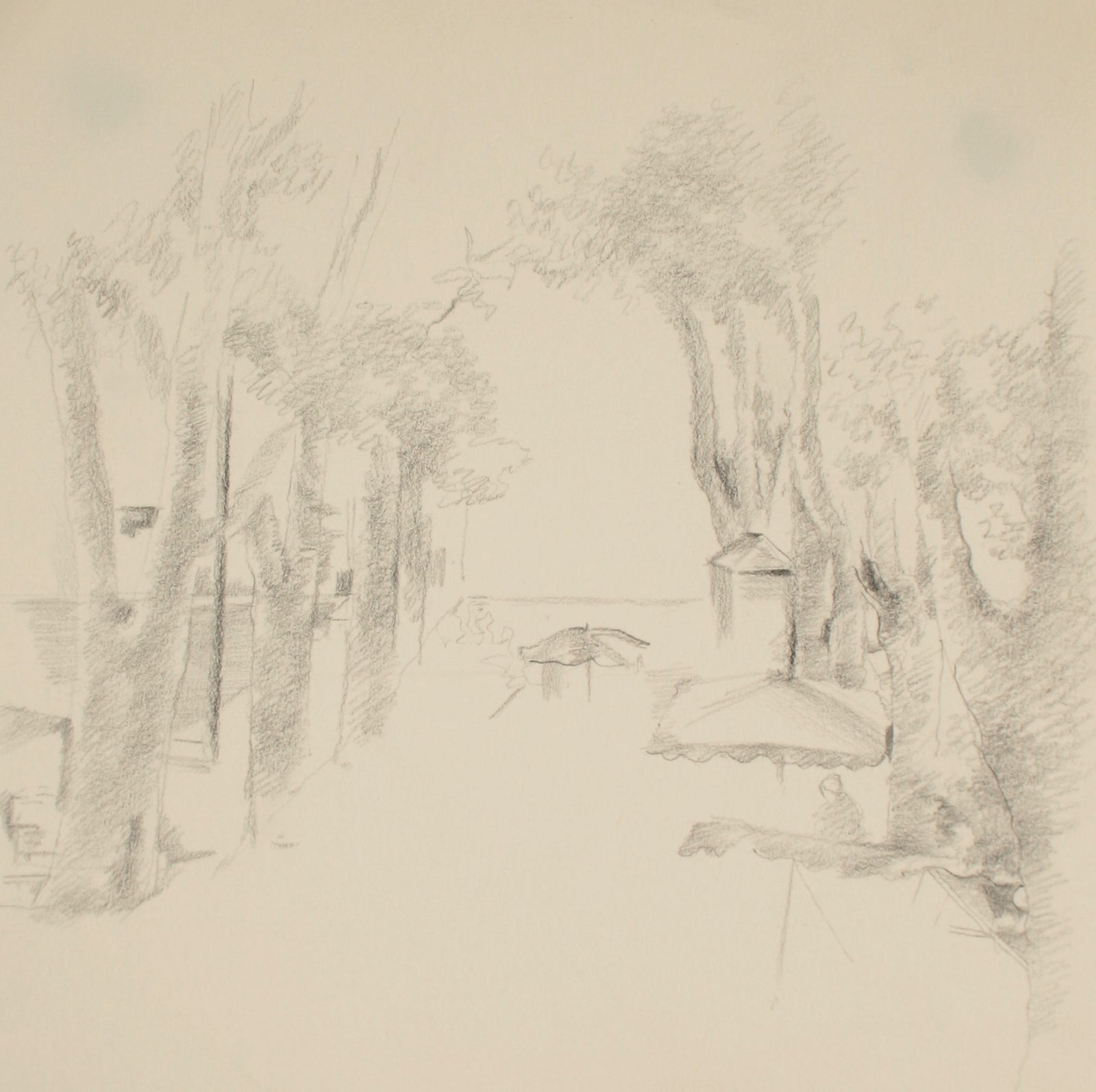 The View Beneath the Trees <br>Late 20th Century Graphite<br><br>#71498