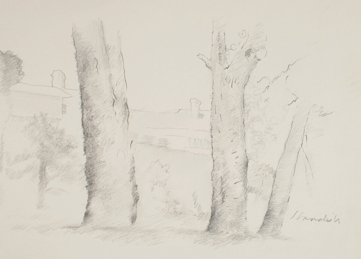 Three Trees &lt;br&gt;Late 20th Century Graphite &lt;br&gt;&lt;br&gt;#71504