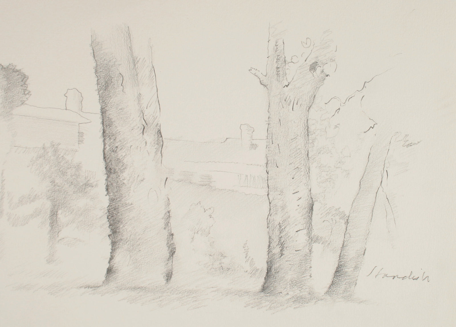 Three Trees <br>Late 20th Century Graphite <br><br>#71504