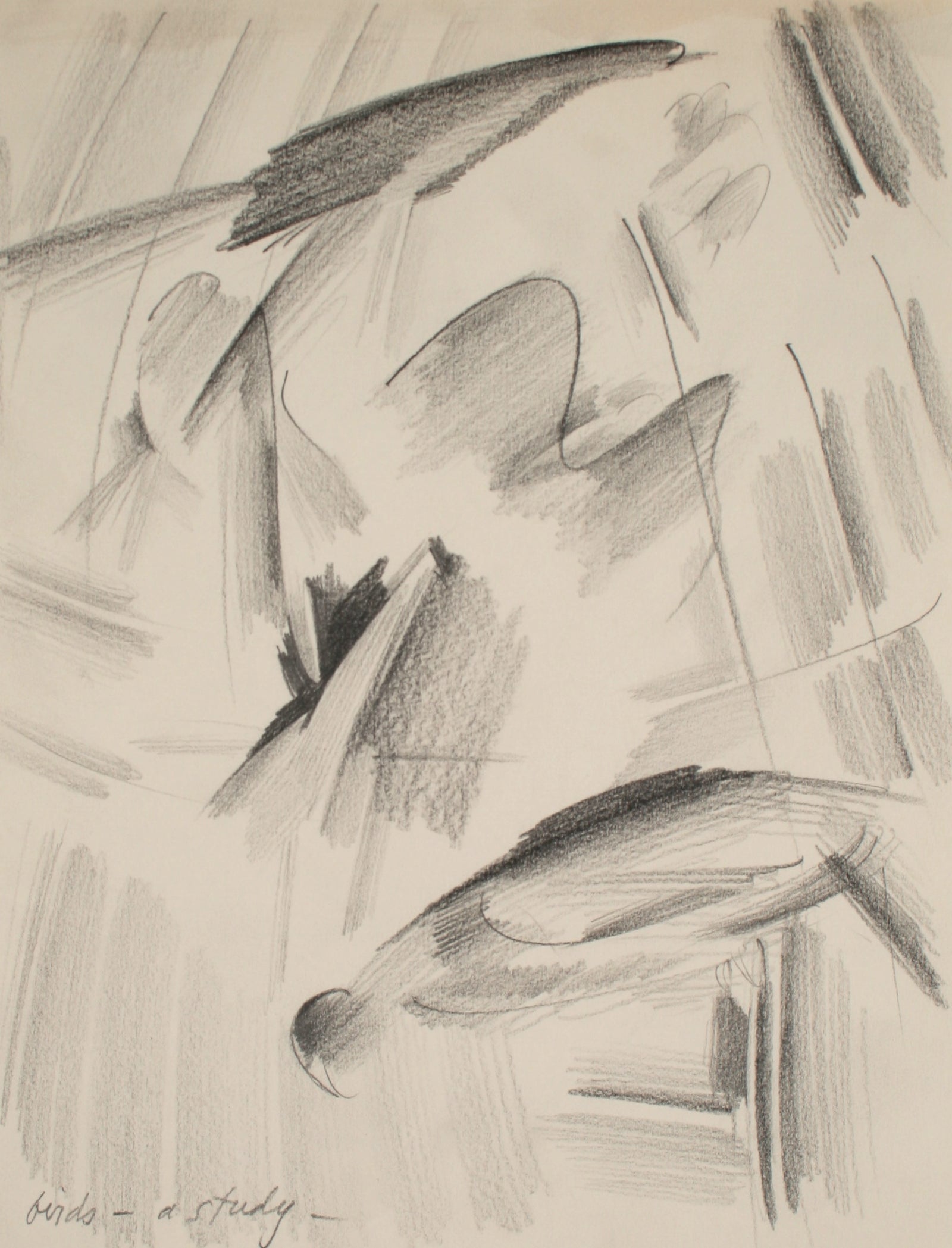 <i>Birds - A Study</i><br>Late 20th Century Graphite<br><br>#71505