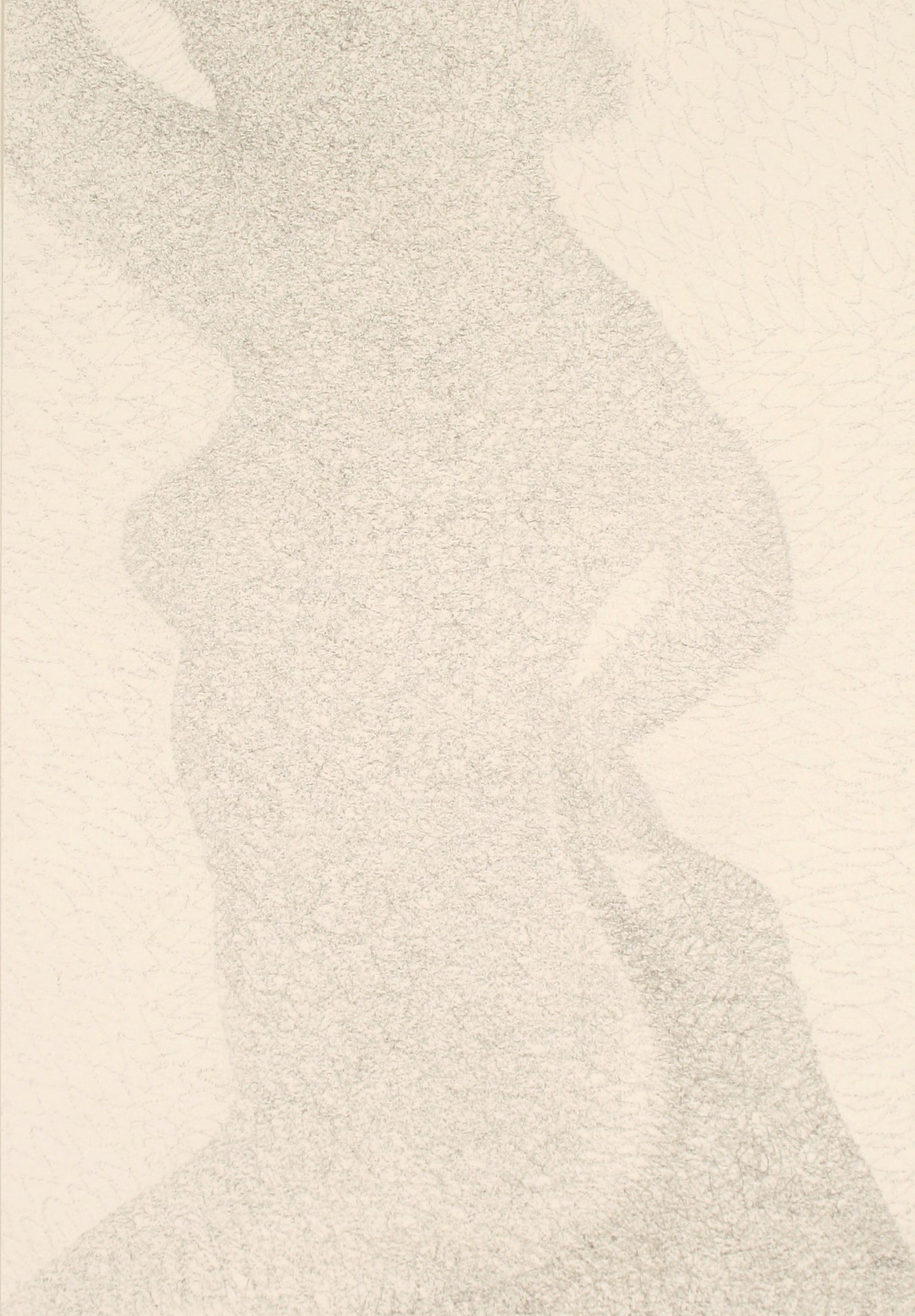 Shadow of a Woman <br>Late 20th Century Graphite <br><br>#71540