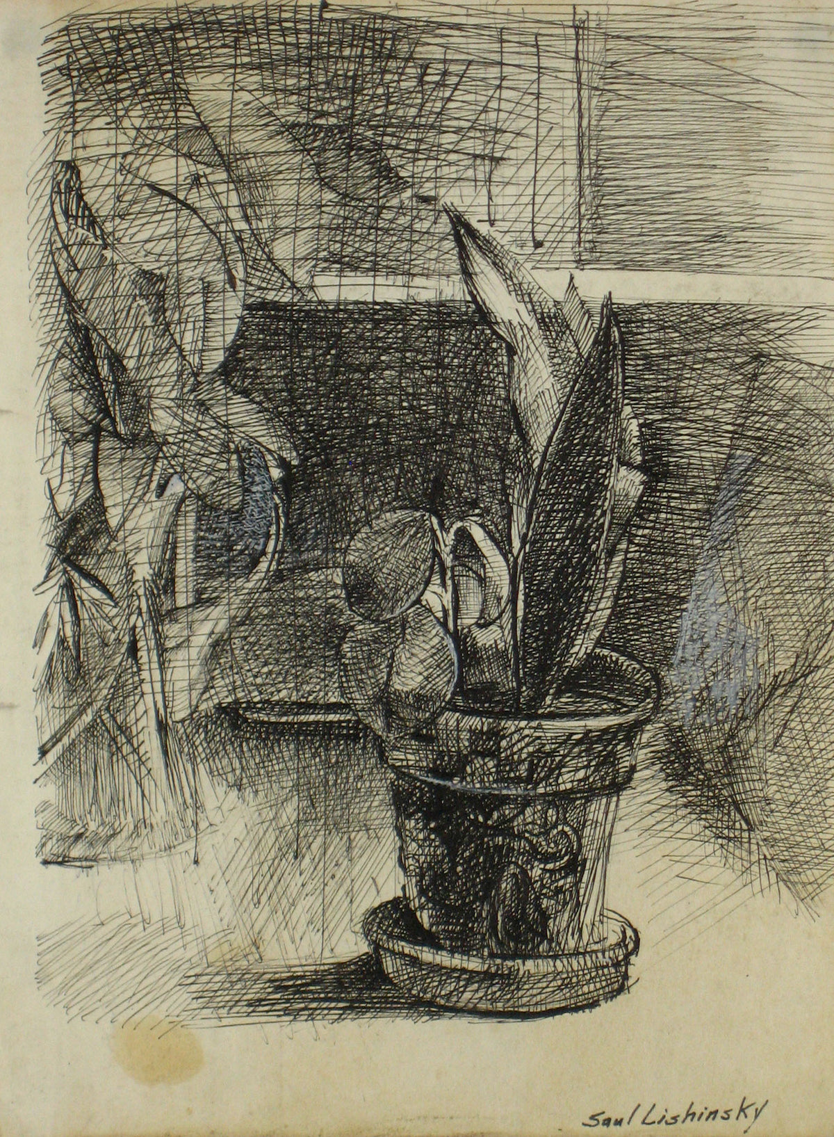 Potted Plant At the Window&lt;br&gt;Ink, Mid Century&lt;br&gt;&lt;br&gt;#7739