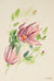 Mid Century Floral Study<br>Watercolor on Paper<br><br>#82247