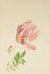 Watercolor Floral Study<br>Mid Century<br><br>#82250