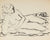 Nude in Repose<br>Ink on Paper, Late 20th Century<br><br>#82527