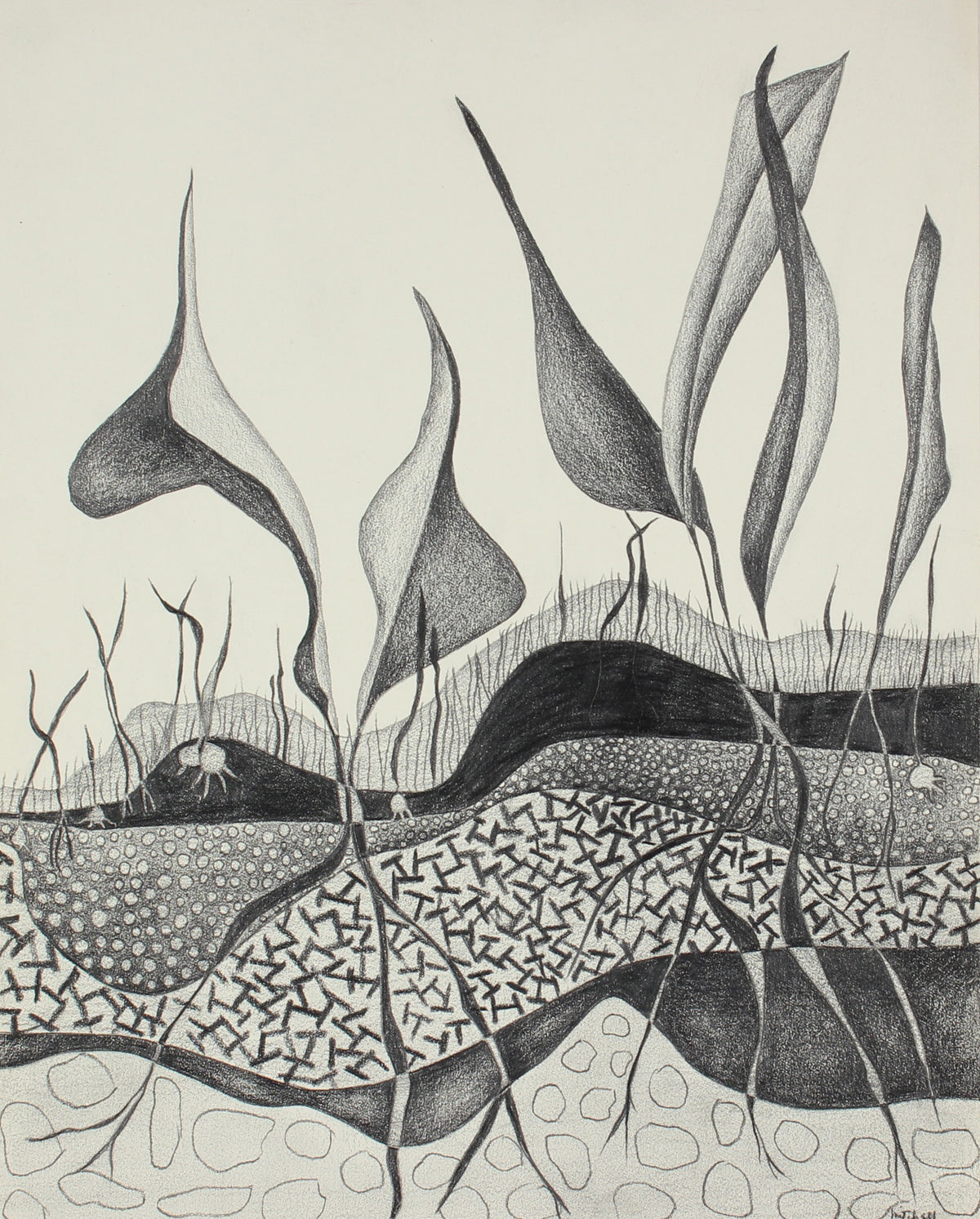 Leaves &amp; Roots&lt;br&gt; 1975 Graphite Drawing&lt;br&gt;&lt;br&gt;#86296
