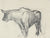 Bull Drawing, Mexico <br>1947 Graphite on Paper <br><br>#86545