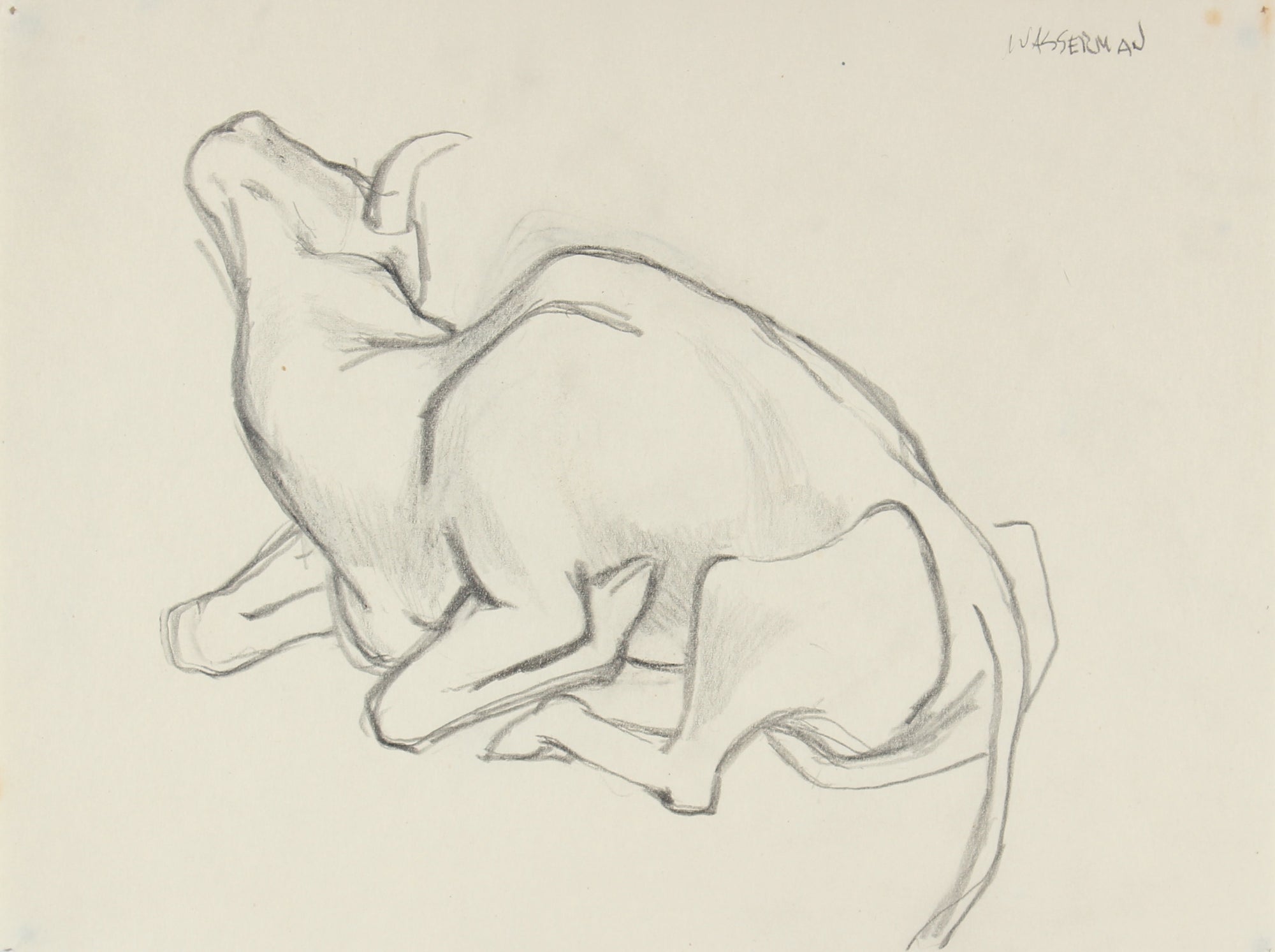Drawing of a Bull, Mexico<br>1947 Graphite<br><br>#86549
