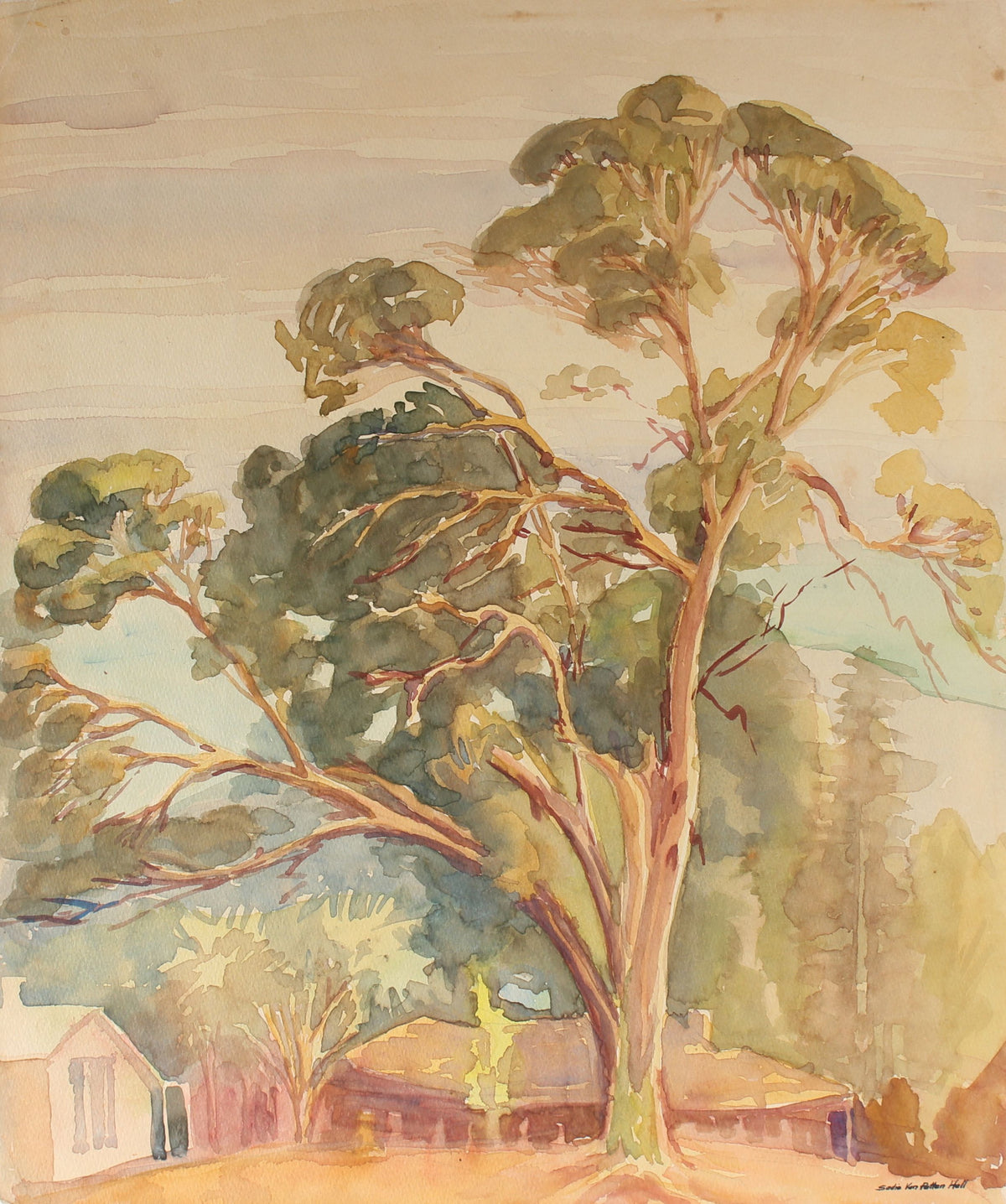 Eucalyptus Watercolor&lt;br&gt;Mid Century California&lt;br&gt;&lt;br&gt;#88032