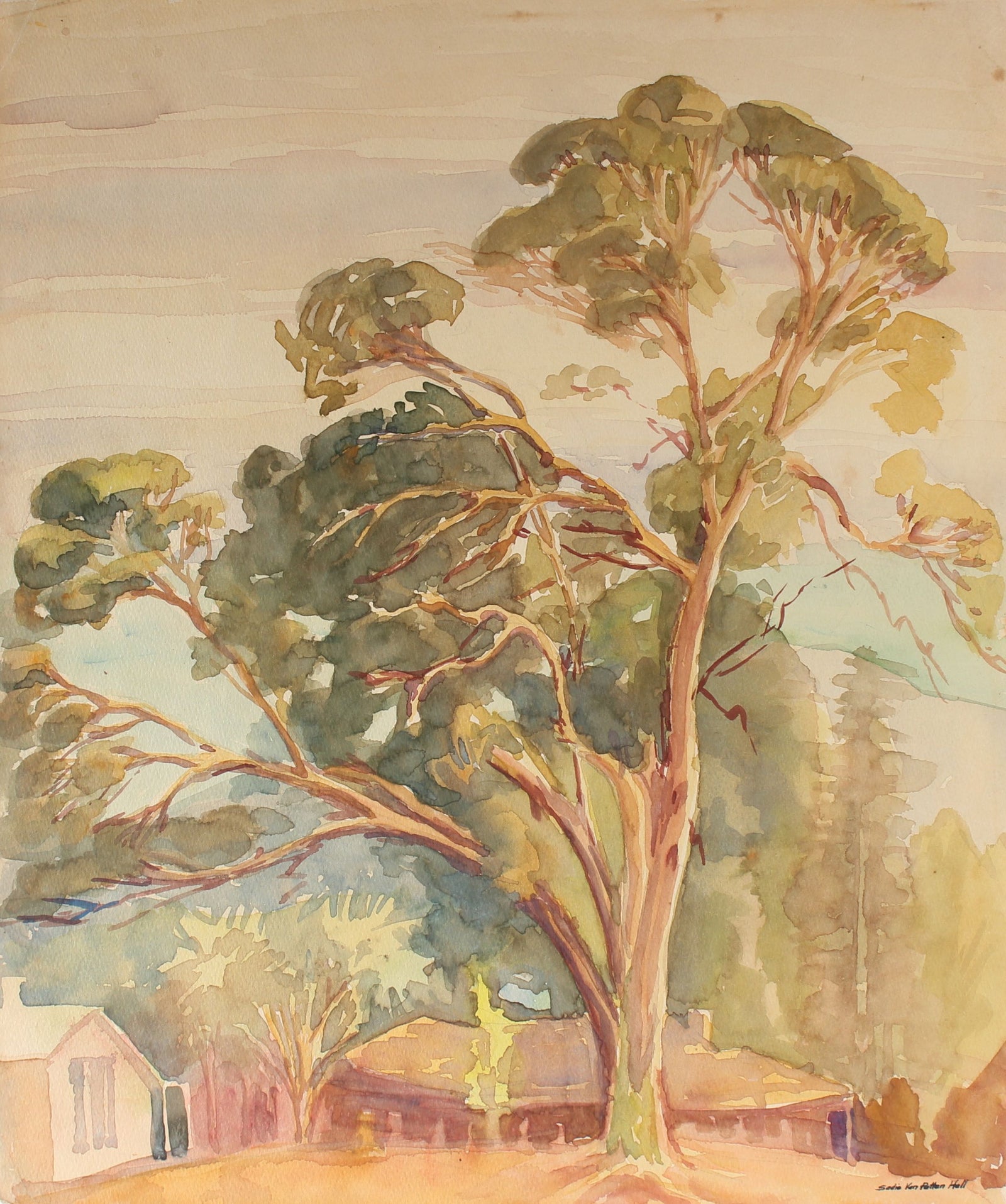Eucalyptus Watercolor<br>Mid Century California<br><br>#88032