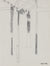 Sketch of Watts Towers <br>1974 Graphite <br><br>#89343
