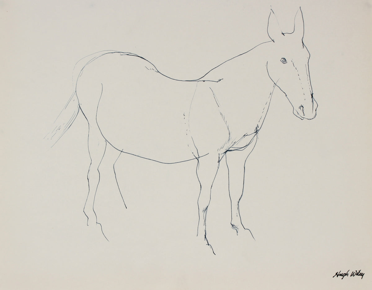 Monochromatic Horse Drawing&lt;br&gt;1974 Ink &lt;br&gt;&lt;br&gt;#89410