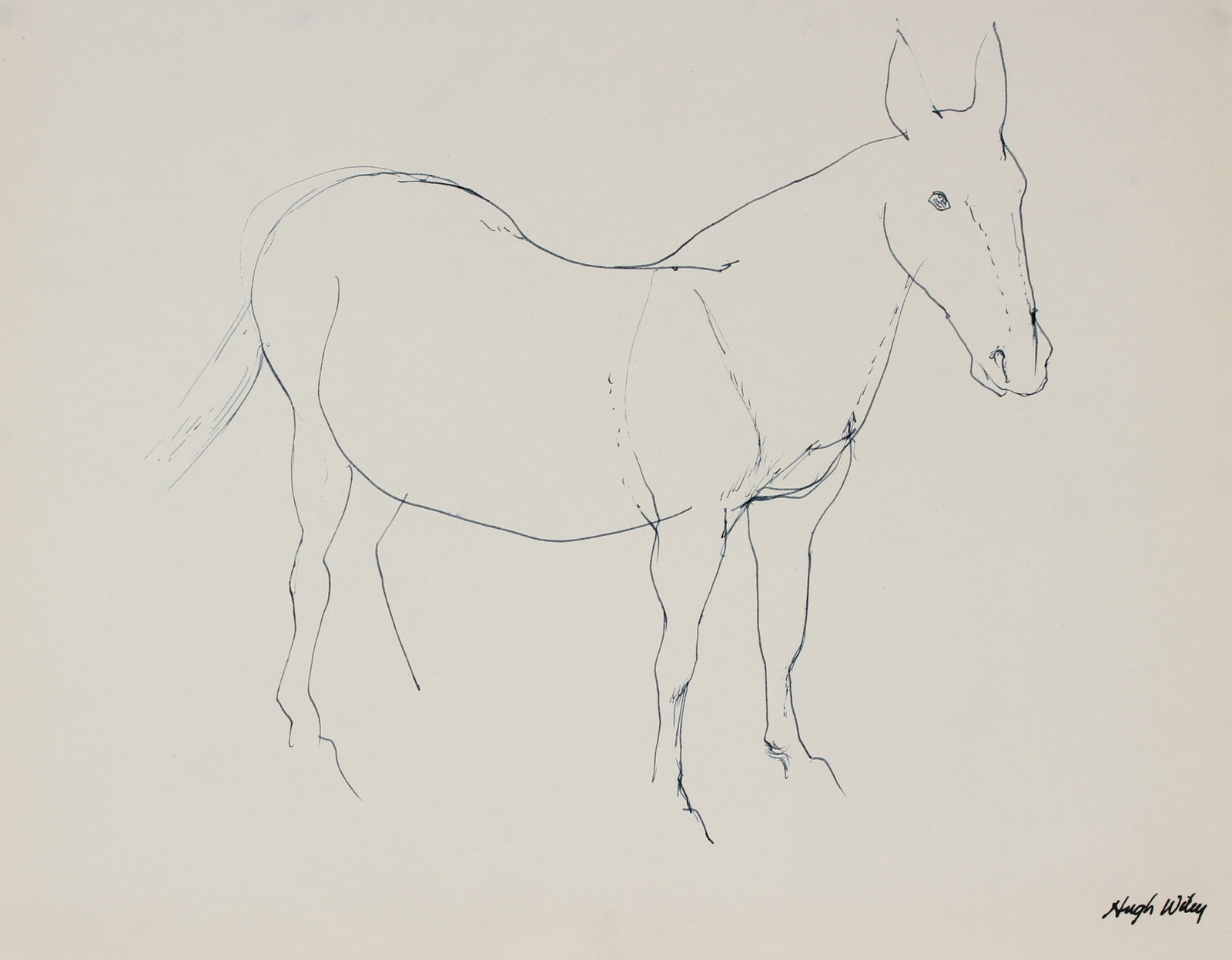 Monochromatic Horse Drawing<br>1974 Ink <br><br>#89410