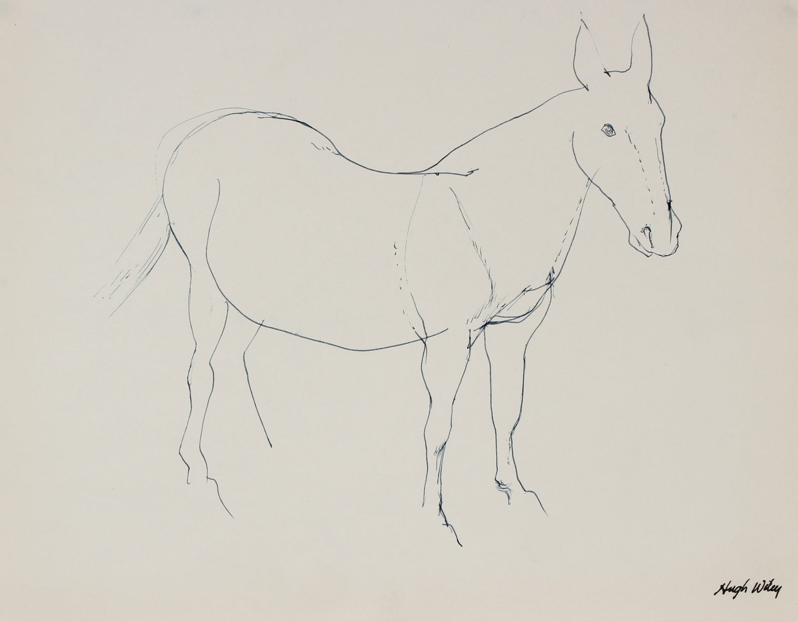 Monochromatic Horse Drawing<br>1974 Ink <br><br>#89410