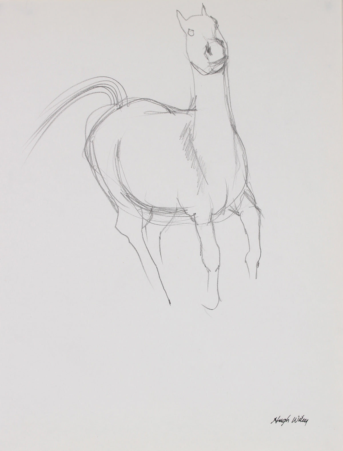 Figure of a Running Horse&lt;br&gt;1974 Graphite&lt;br&gt;&lt;br&gt;#89444