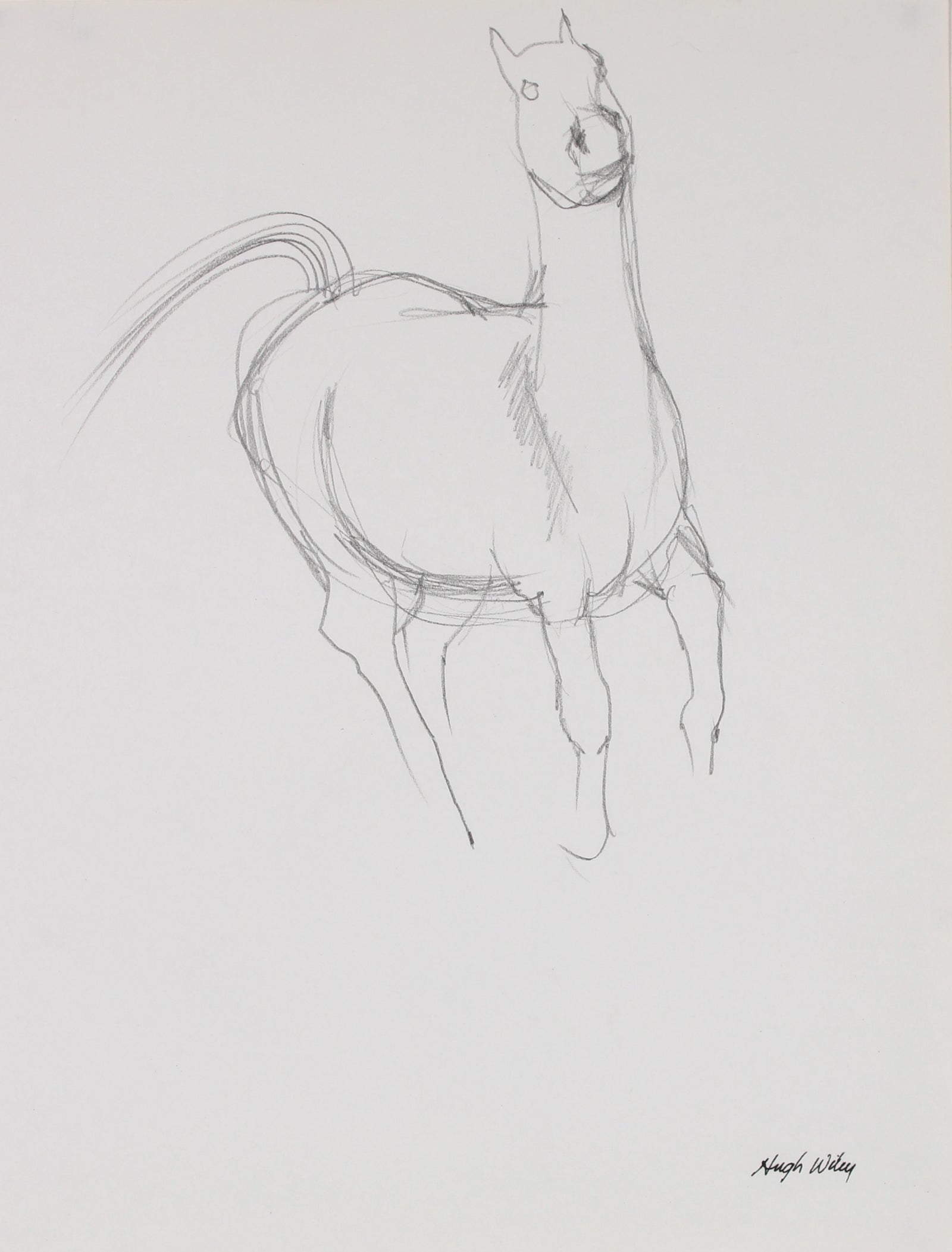 Figure of a Running Horse<br>1974 Graphite<br><br>#89444