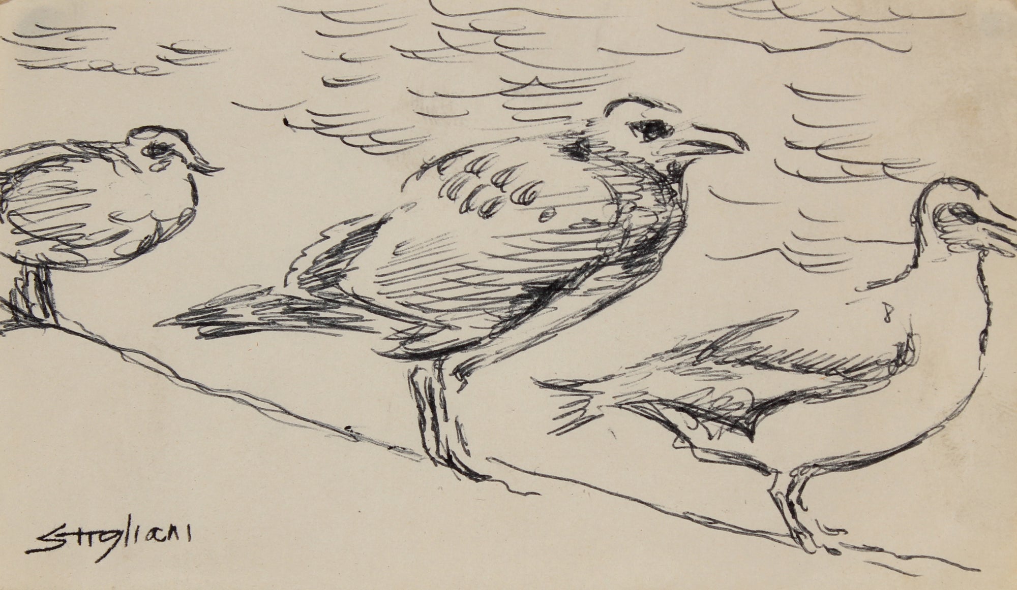 Birds by the Shore <br>20th Century Ink <br><br>#90470
