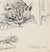 Patrick Stigliani Drawing & Watercolor - Lost Art Salon