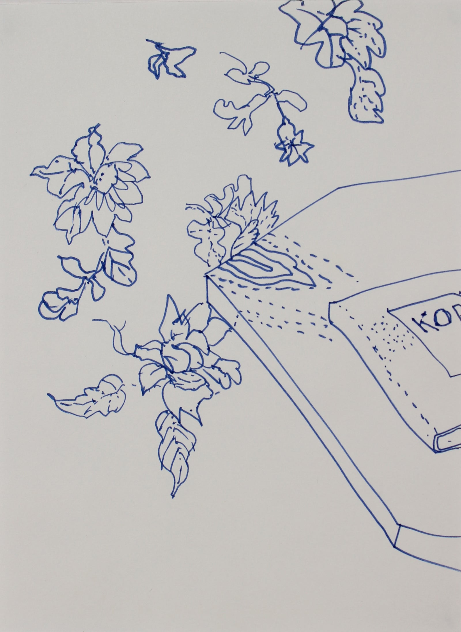 Blue Flowers <br>1993 Ink<br><br>#91926