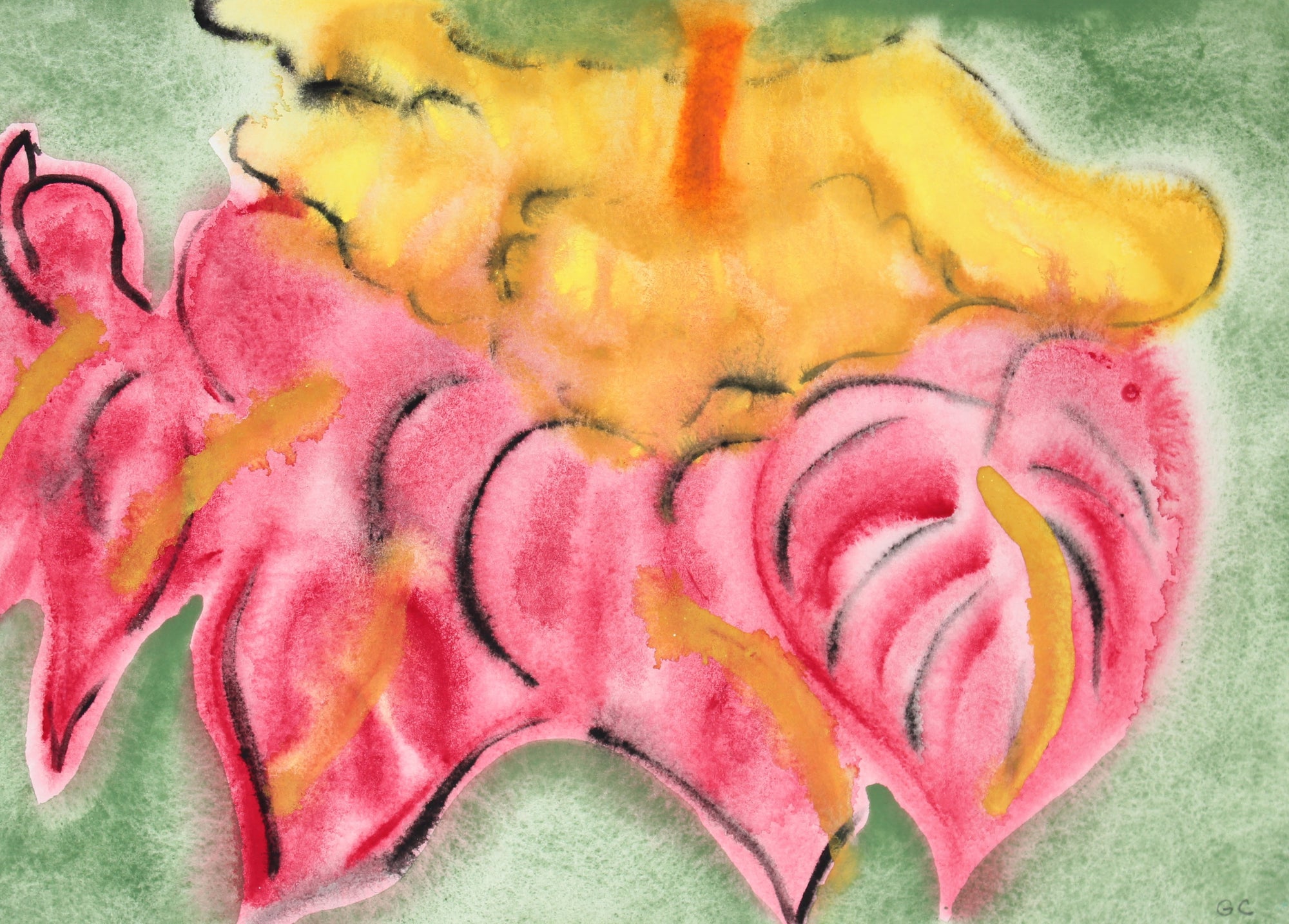 <i>Anthurium & Hibiscus</i>, Hawaii<br>2017 Ink, Watercolor & Gouache<br><br>#92125