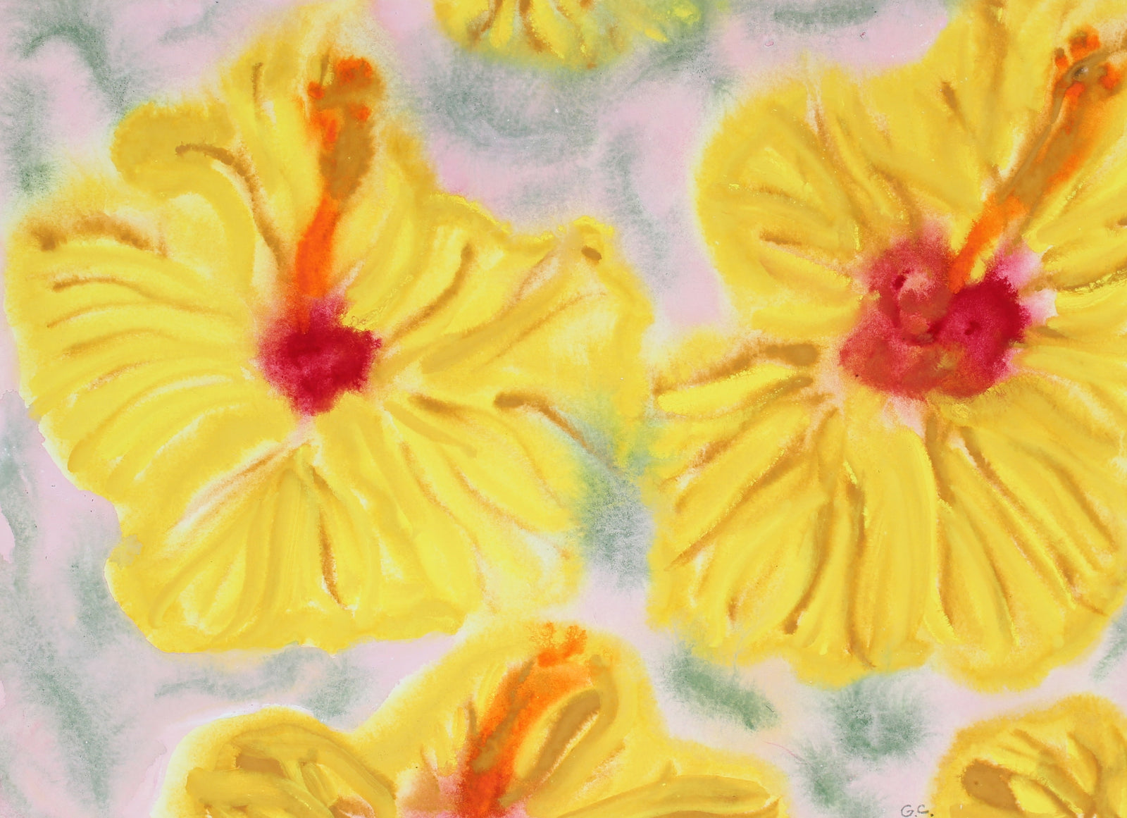 <i>Yellow Hibiscus</i>, Hawaii<br>2017 Watercolor & Gouache<br><br>#92127