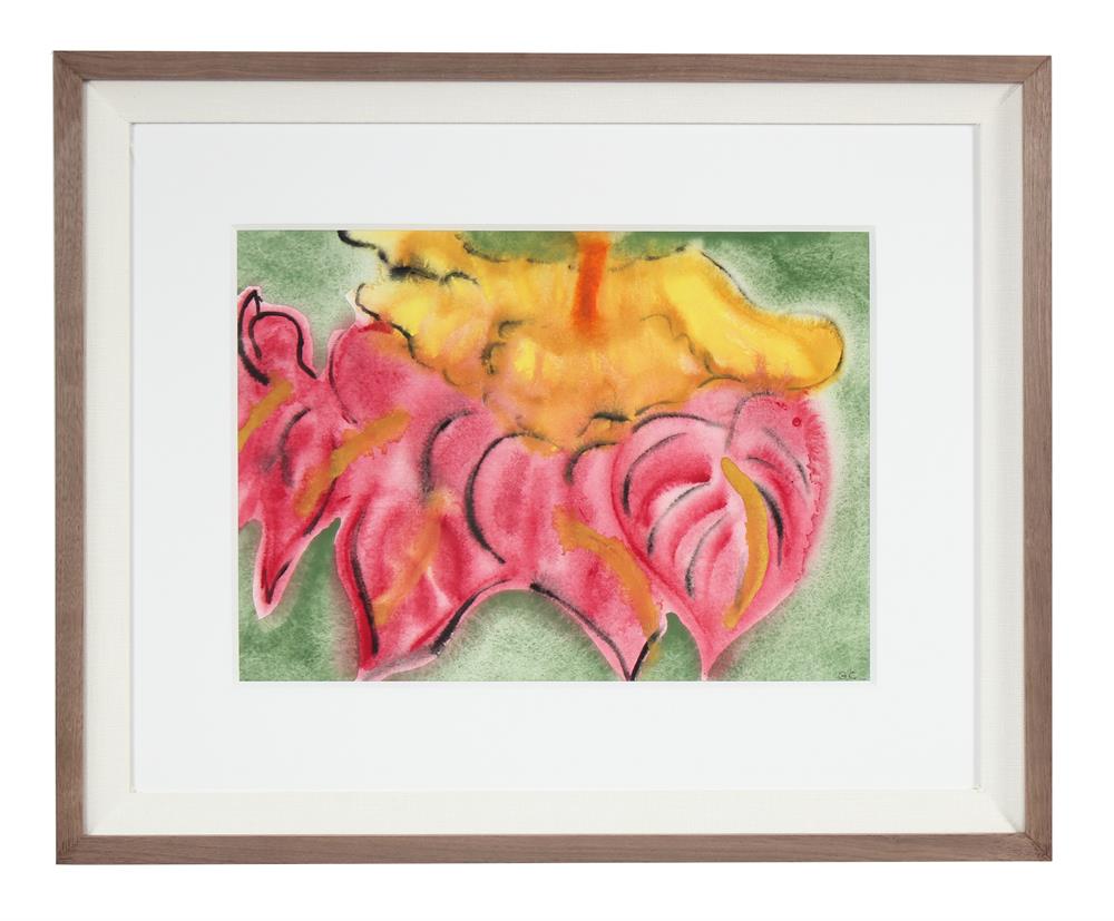 <i>Anthurium & Hibiscus</i>, Hawaii<br>2017 Ink, Watercolor & Gouache<br><br>#92125