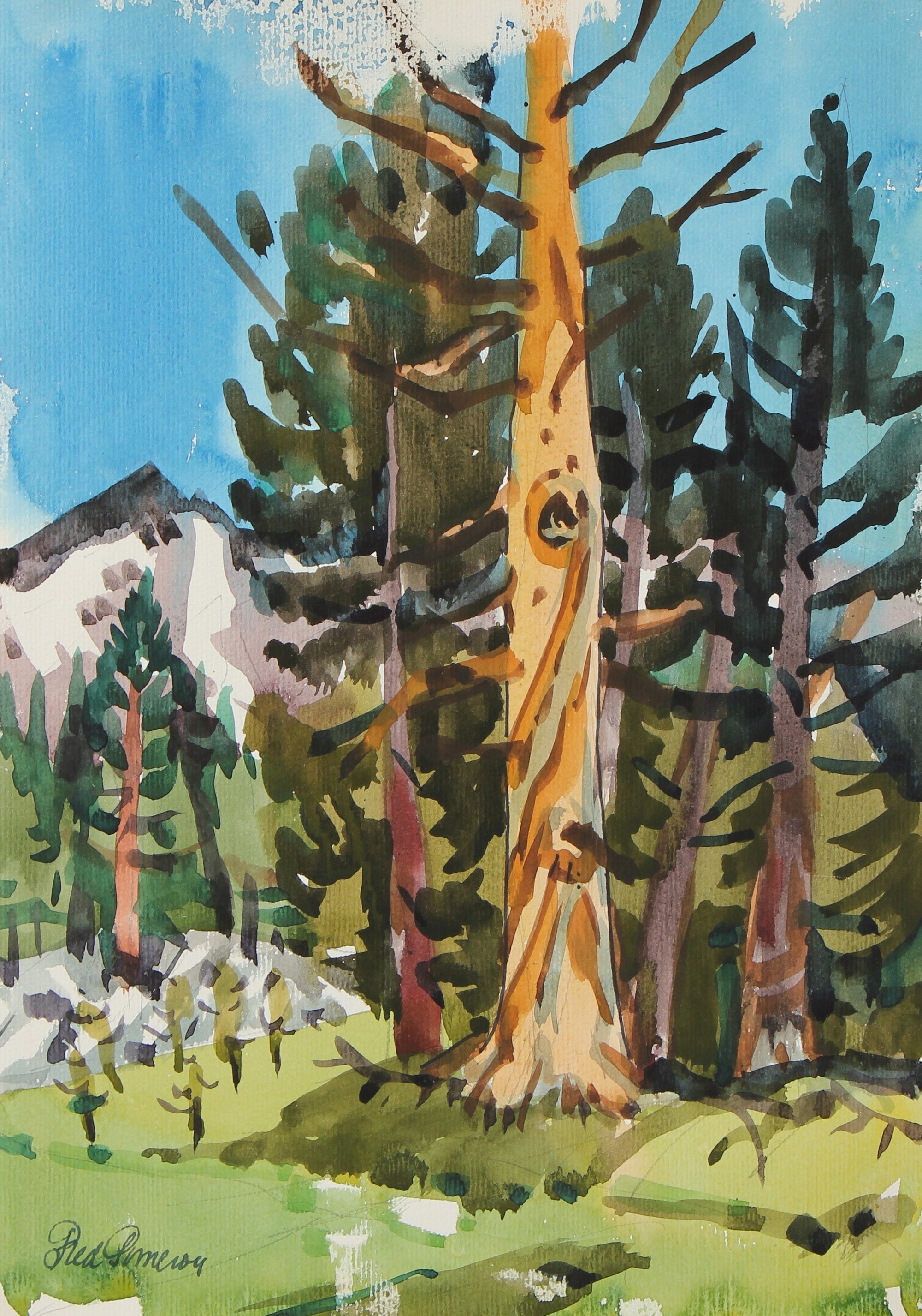 <i>Sierra Study</i> <br>20th Century Watercolor <br><br>#93528