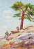 Tree Emerging From Rocks <br> Mid 20th Century Watercolor<br><br>#93553
