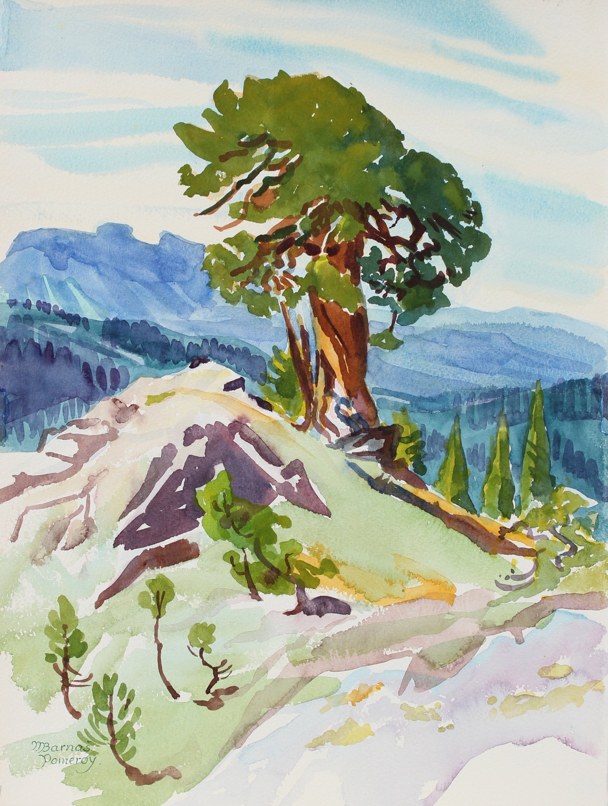 <i>Ancient Juniper</i><br>July 1987 Watercolor<br><br>#93560