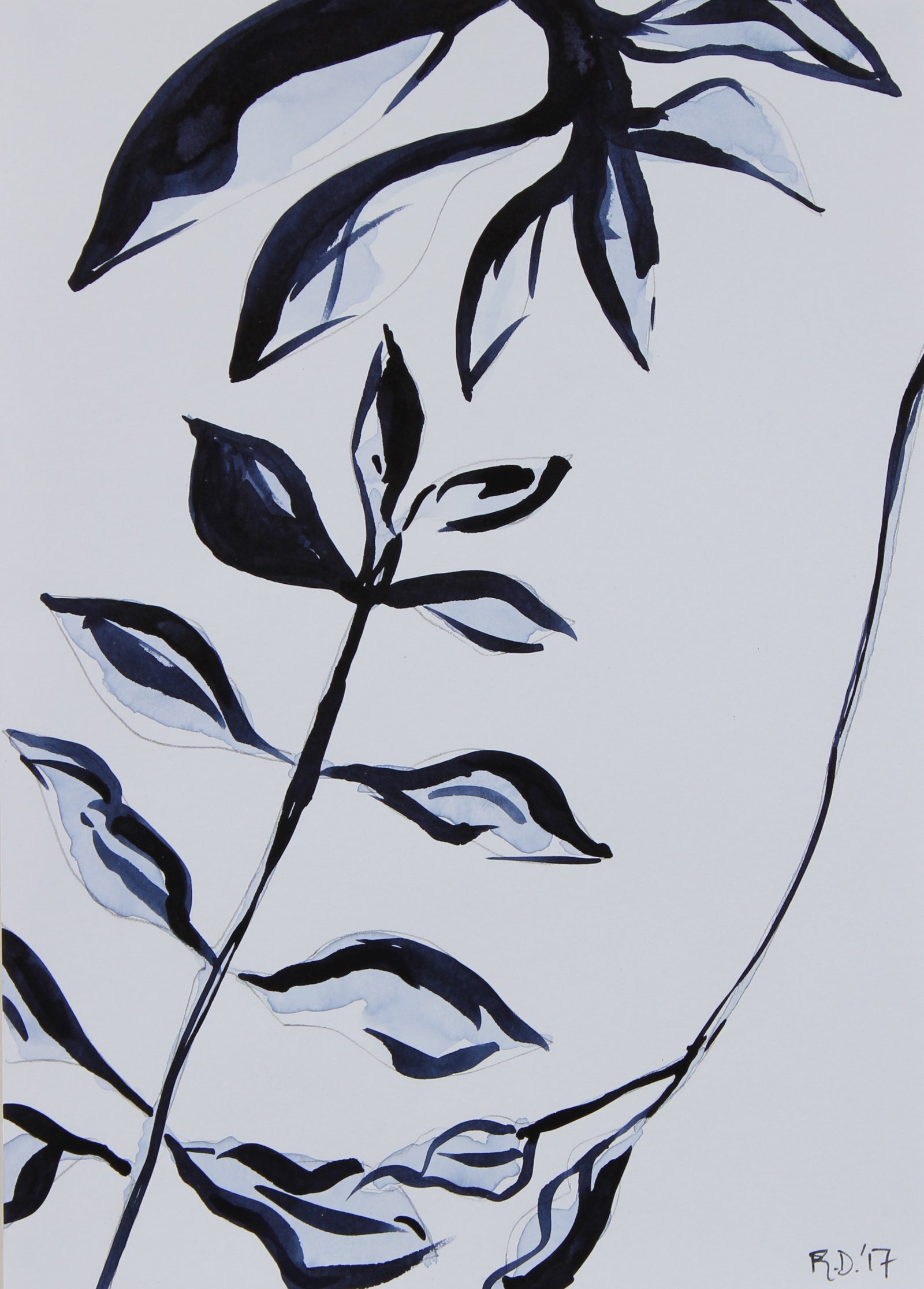 <i>Botanicals of Orquevaux VIII</i> <br>2017 Ink & Graphite <br><br>#95666