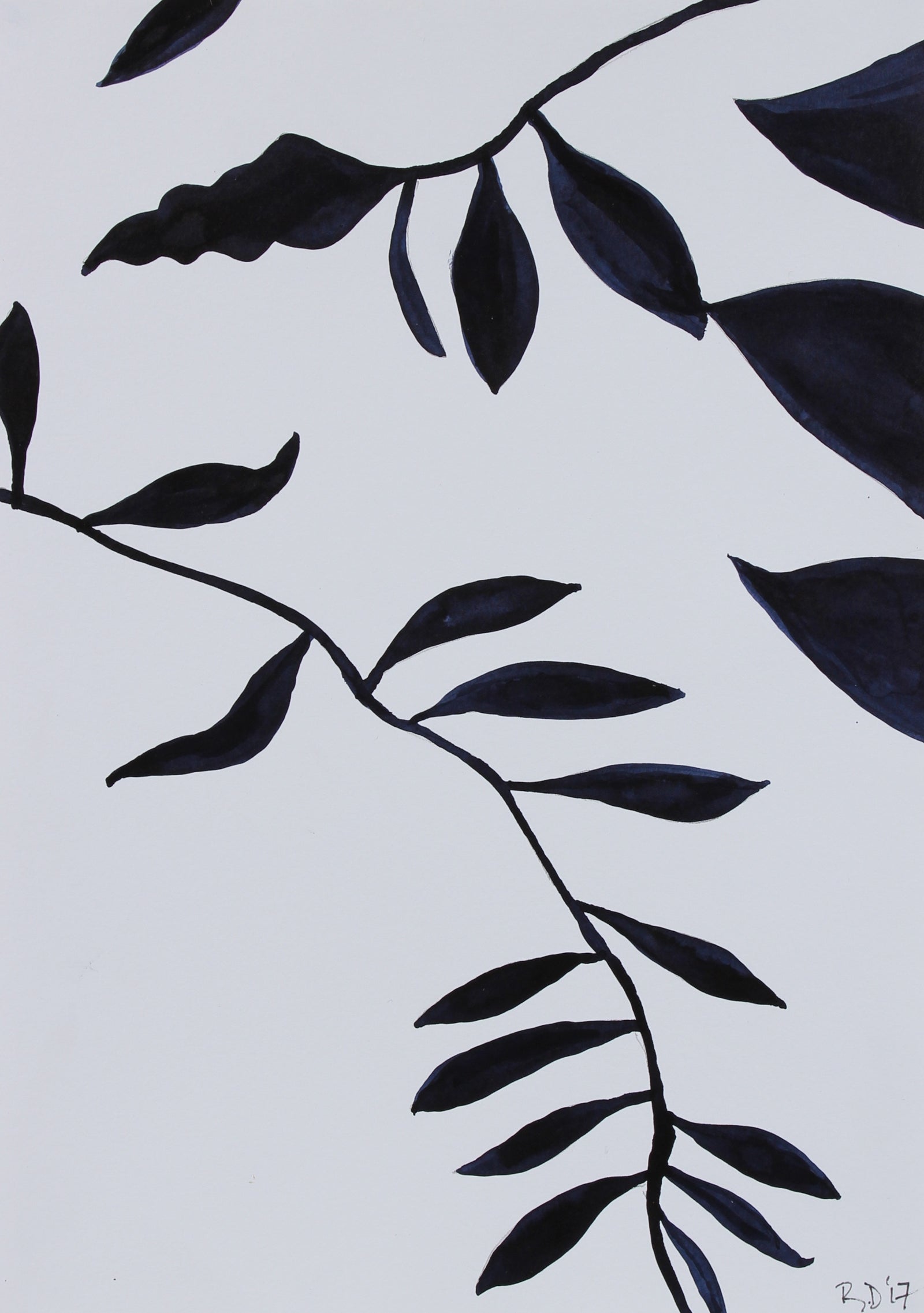 <i>Botanicals of Orquevaux VI</i> <br>2017 Ink & Graphite <br><br>#95667