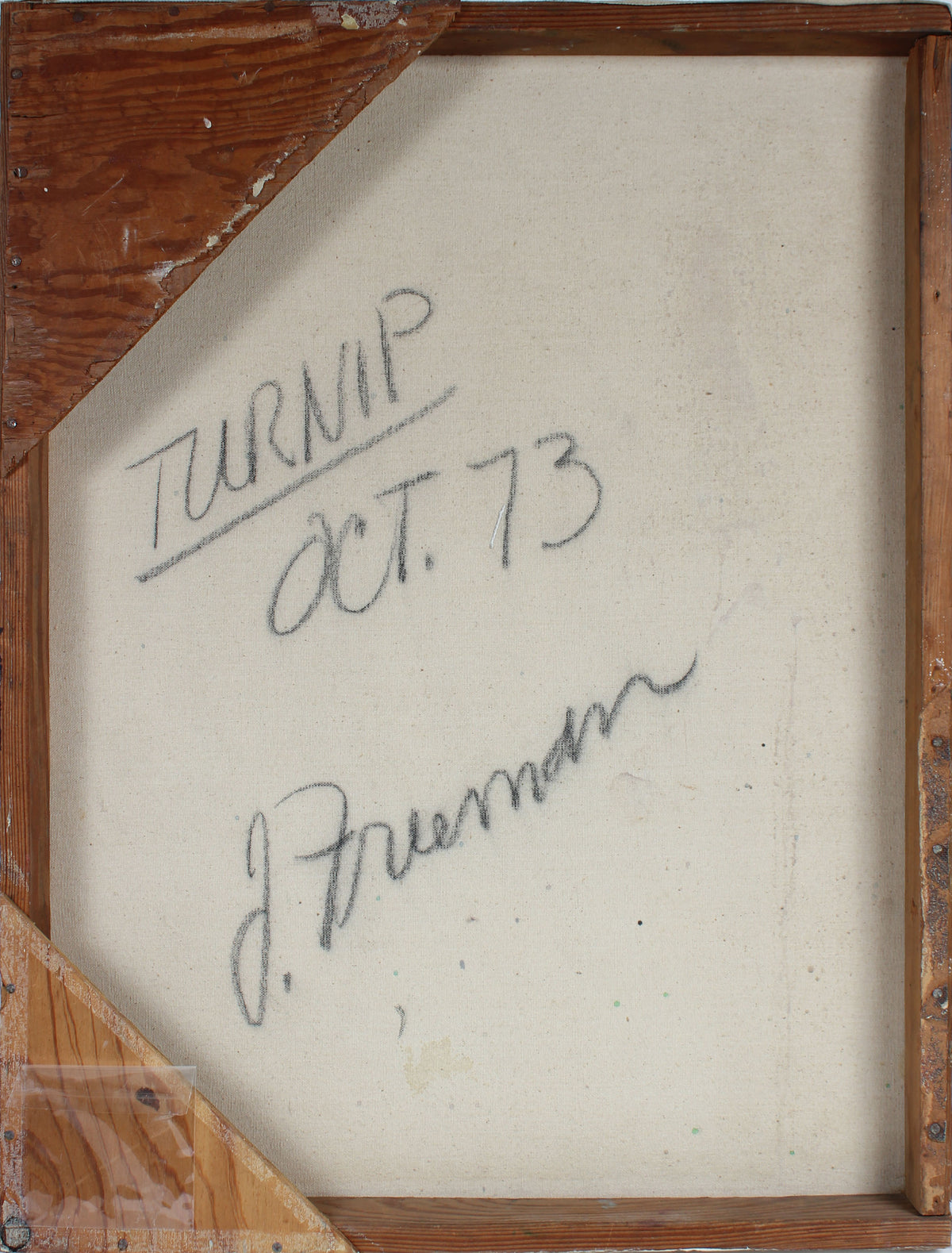 <i>Turnip</i><br>October 1973 Oil<br><br>#A3220