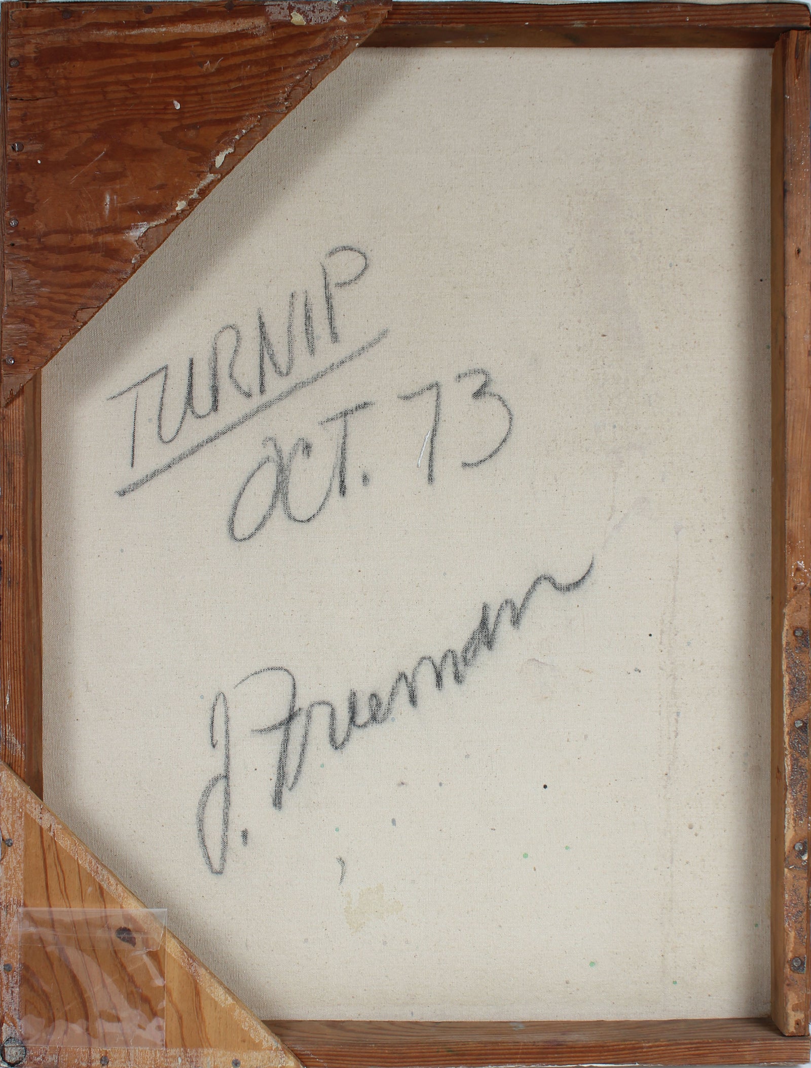 <i>Turnip</i><br>October 1973 Oil<br><br>#A3220