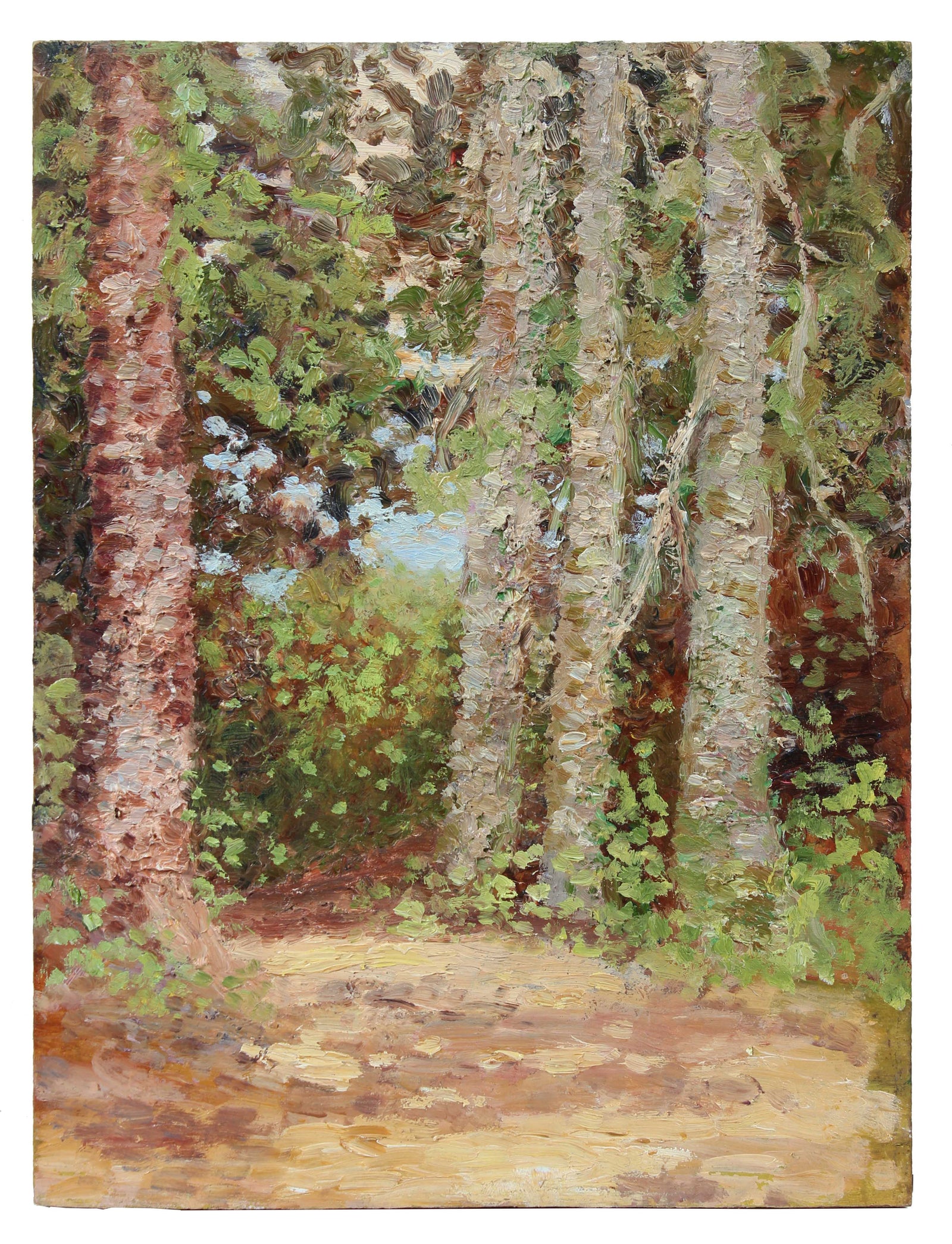 Impressionist Birch Trees in Landscape<br>1900-30s Oil<br><br>#A3520