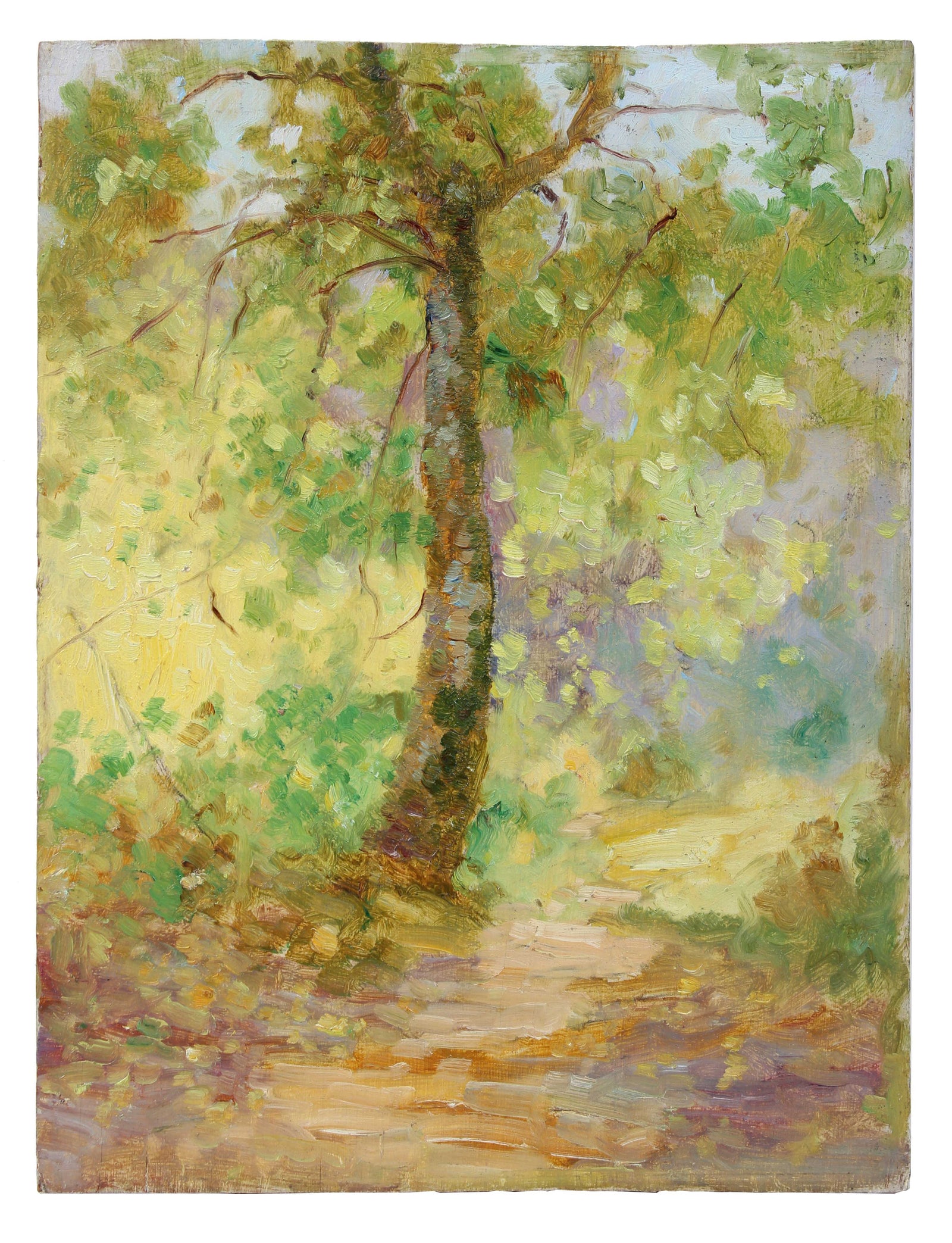 Warm Impressionist Tree<br>1900-30s Oil<br><br>#A3528