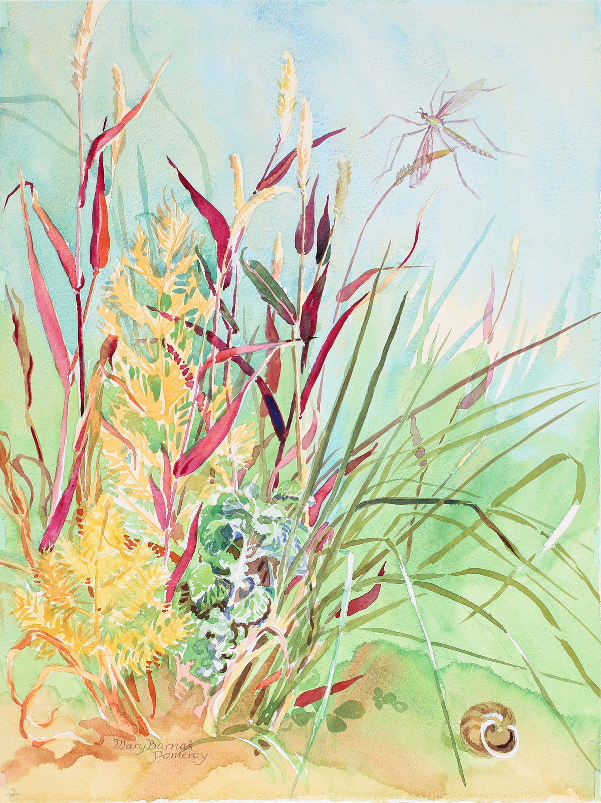 &lt;i&gt;Autumn Grasses&lt;/i&gt; &lt;br&gt;1987 Watercolor &lt;br&gt;&lt;br&gt;#A3557