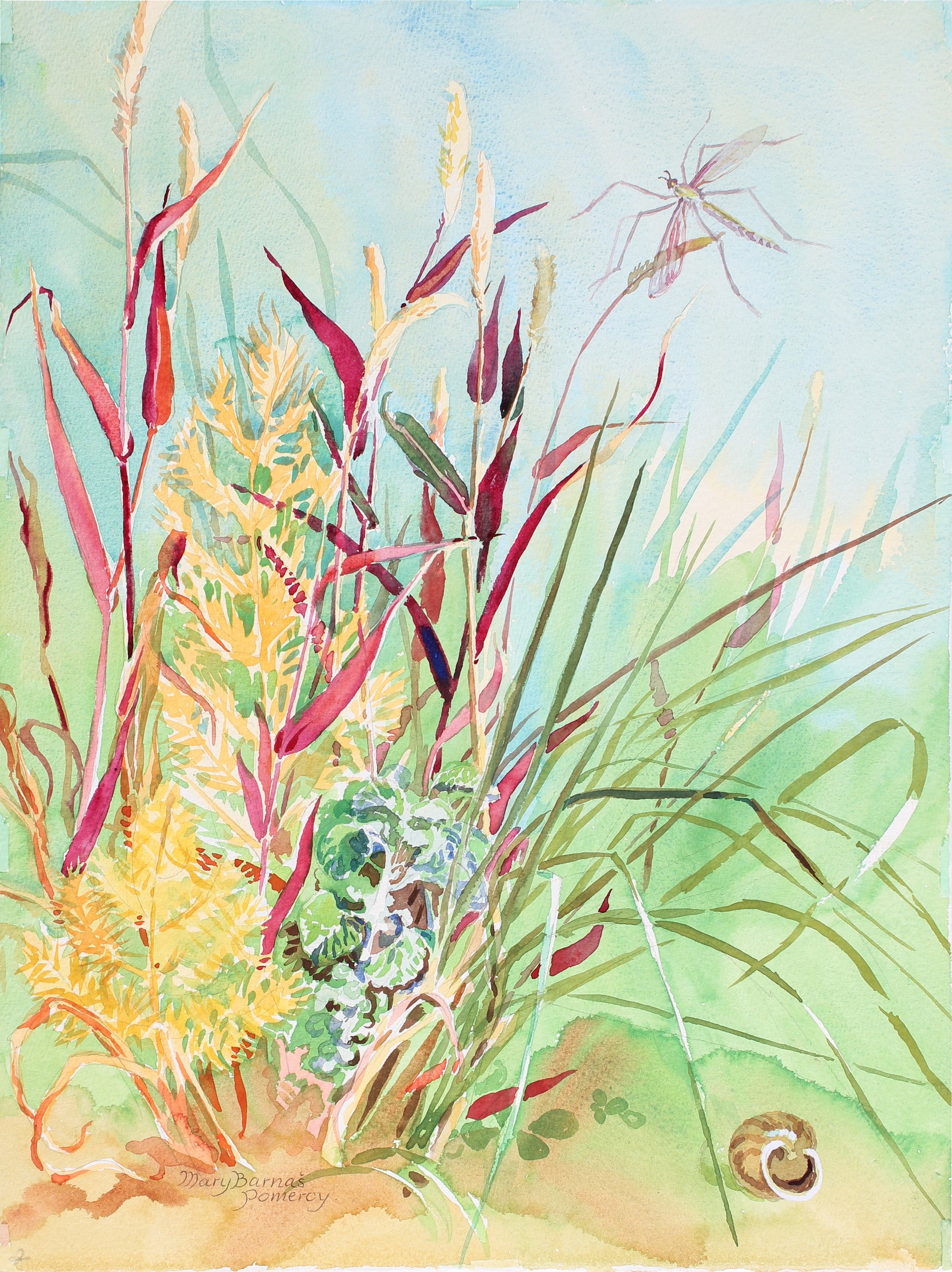 <i>Autumn Grasses</i> <br>1987 Watercolor <br><br>#A3557