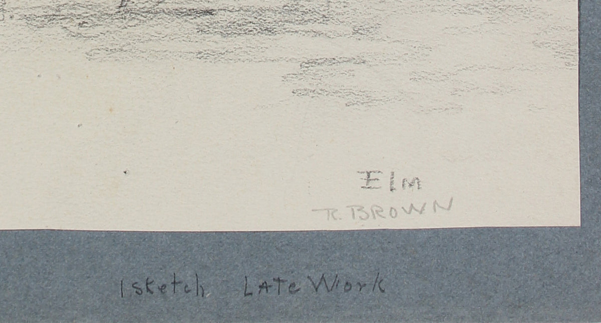 <I>Elm</I> <br>20th Century Graphite <br><br>#A4096