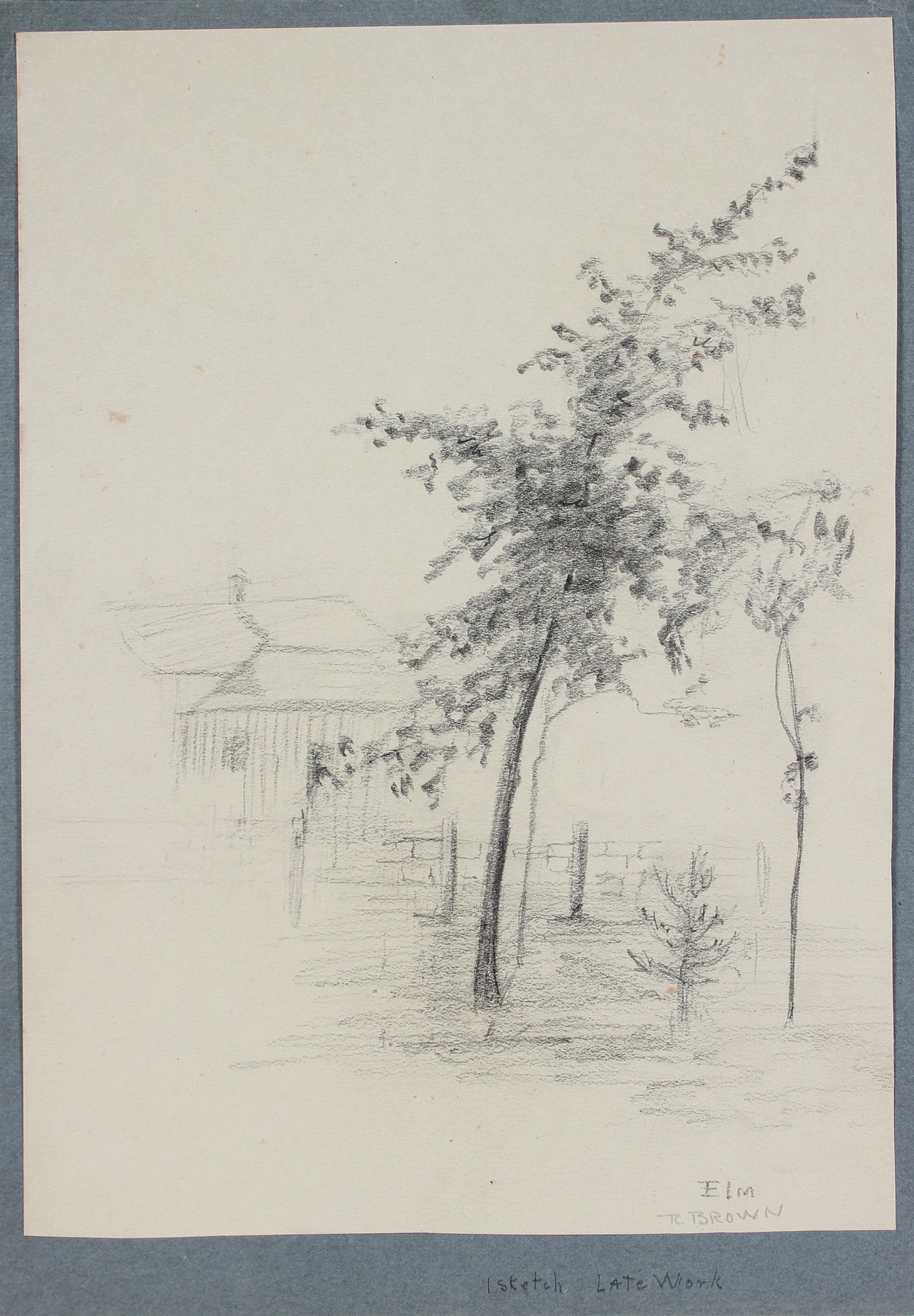 <I>Elm</I> <br>20th Century Graphite <br><br>#A4096