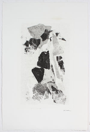 Abstracted Inflexible Forms <br>20th Century Monotype <br><br>#A4452