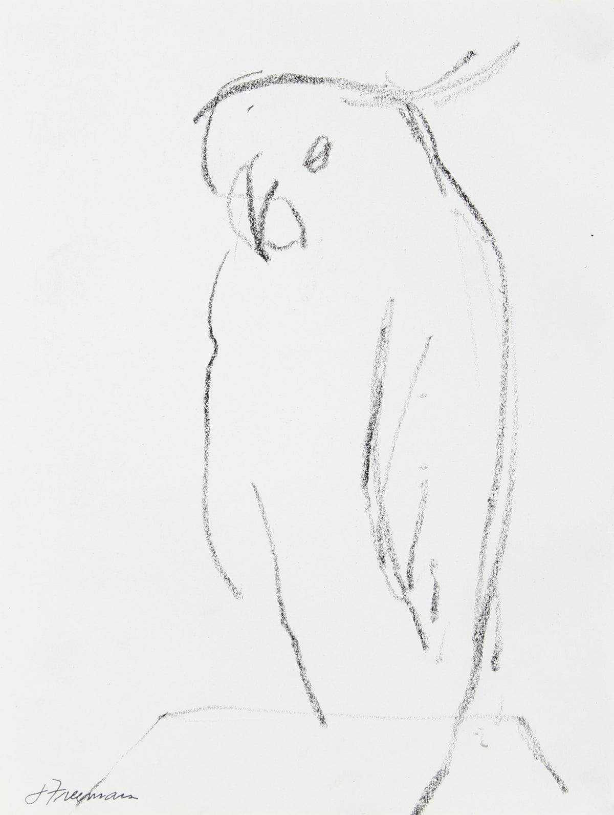 Sketch of a Parrot &lt;br&gt;20th Century Graphite &lt;br&gt;&lt;br&gt;#A5030