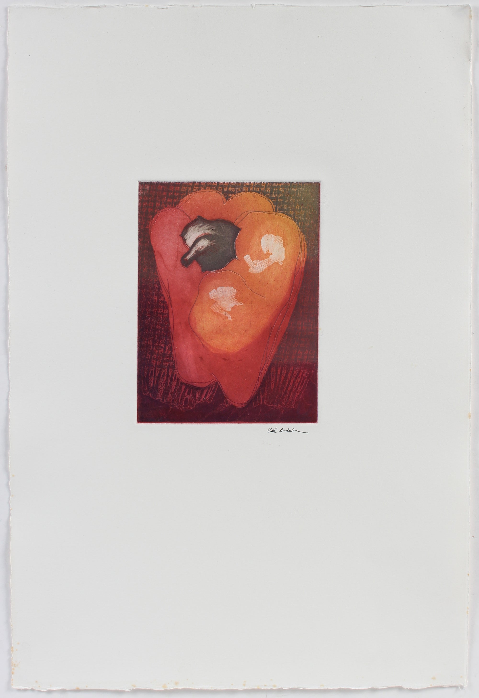 Still Life of Red Pepper<br>1990's Etching <br><br>#A5347